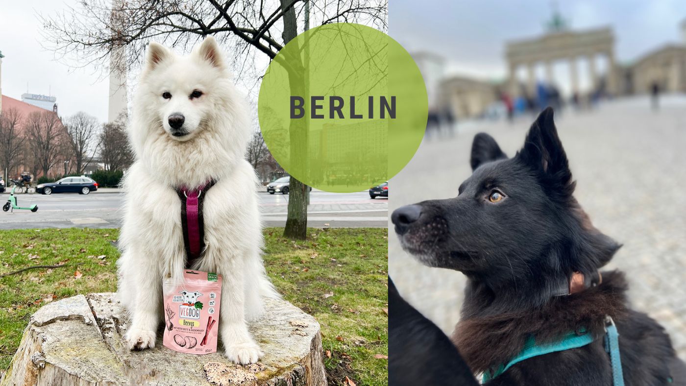 Vegane Hundesnacks Vegdog Beevys - vegan mit Hund reisen Fairtails