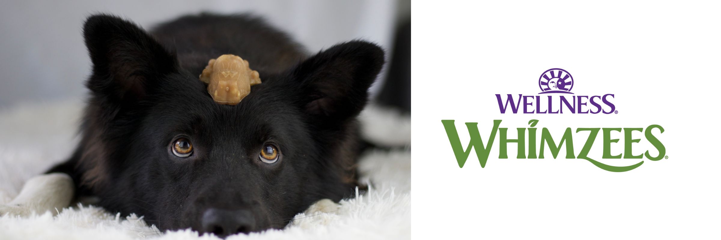 WHIMZEES® werden in den Niederlanden produziert, der Fokus liegt bei der Entwicklung von effektiven Zahnpflegeprodukten. WHIMZEES® enthalten keine künstlichen Zutaten, Aromen oder Zusatzstoffe und sind in einer Vielzahl von Formen erhältlich.