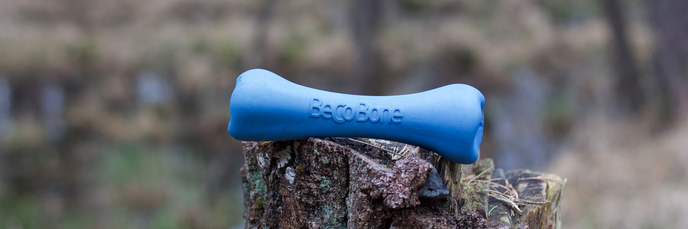 Beco Bone Beschäftigung für Hunde