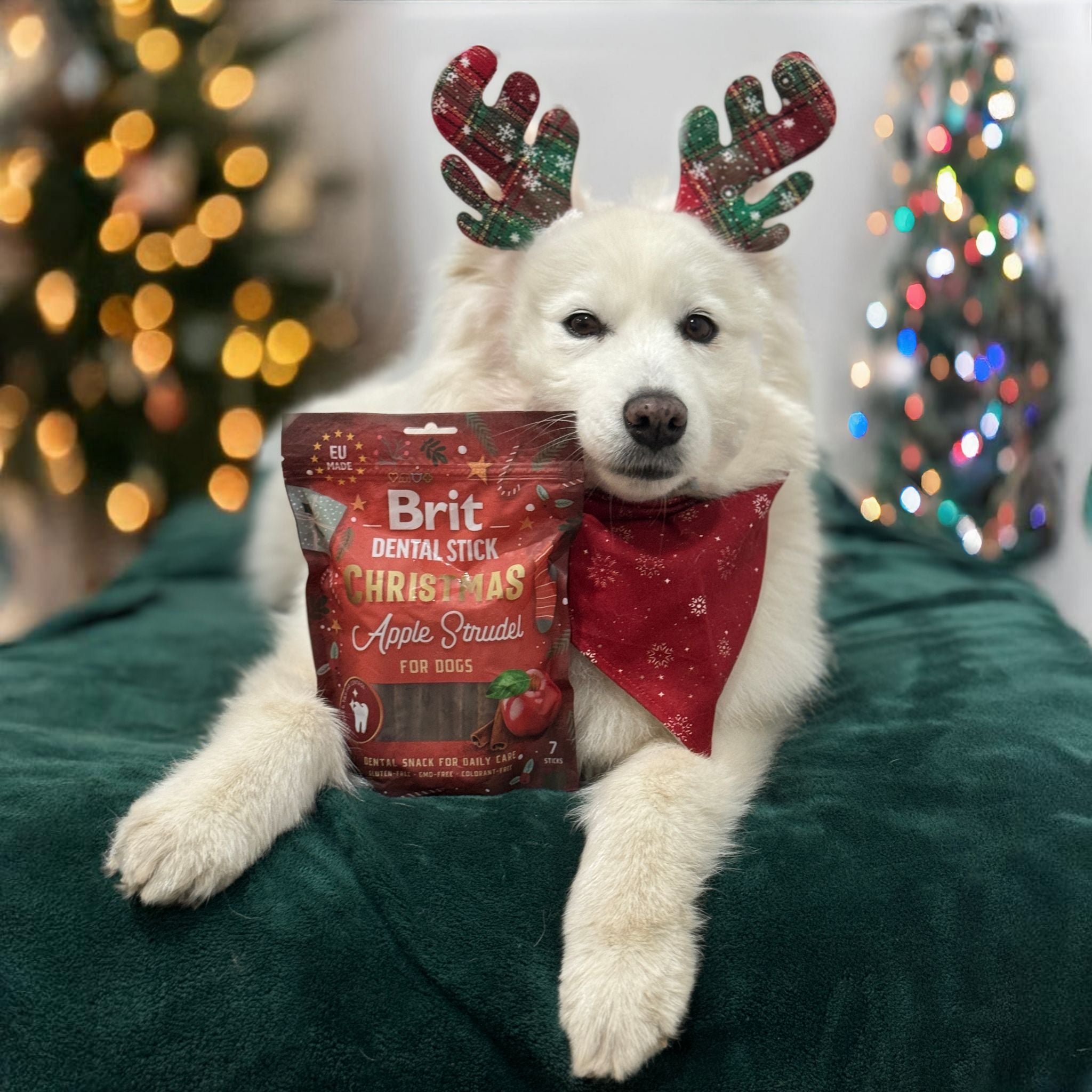 Brit Dental Stick Apfelstrudel - vegane Kaustange mit Apfel und Zimt bei Fairtails