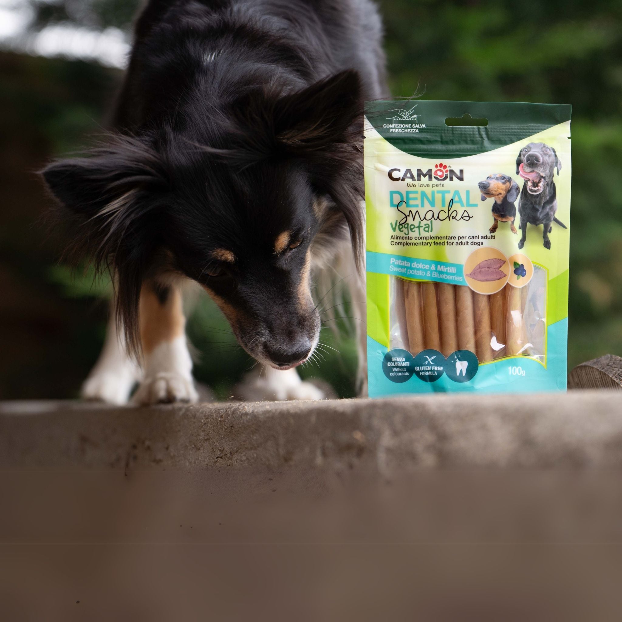 Camon Röllchen Probierpaket - vegane Kausnacks (3x 100g)