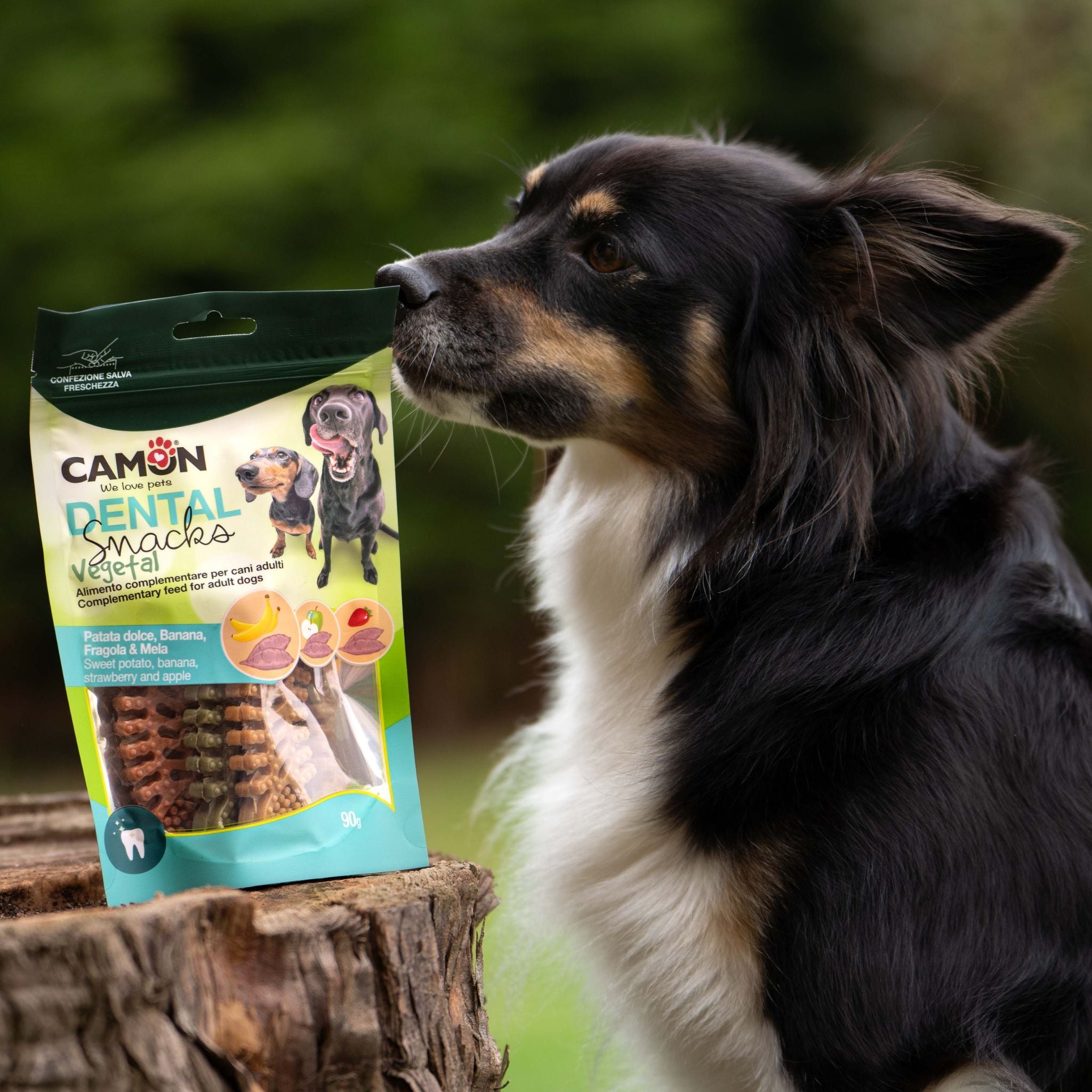 Camon Fischgräten - veganer Kausnack aus Früchten bei Fairtails