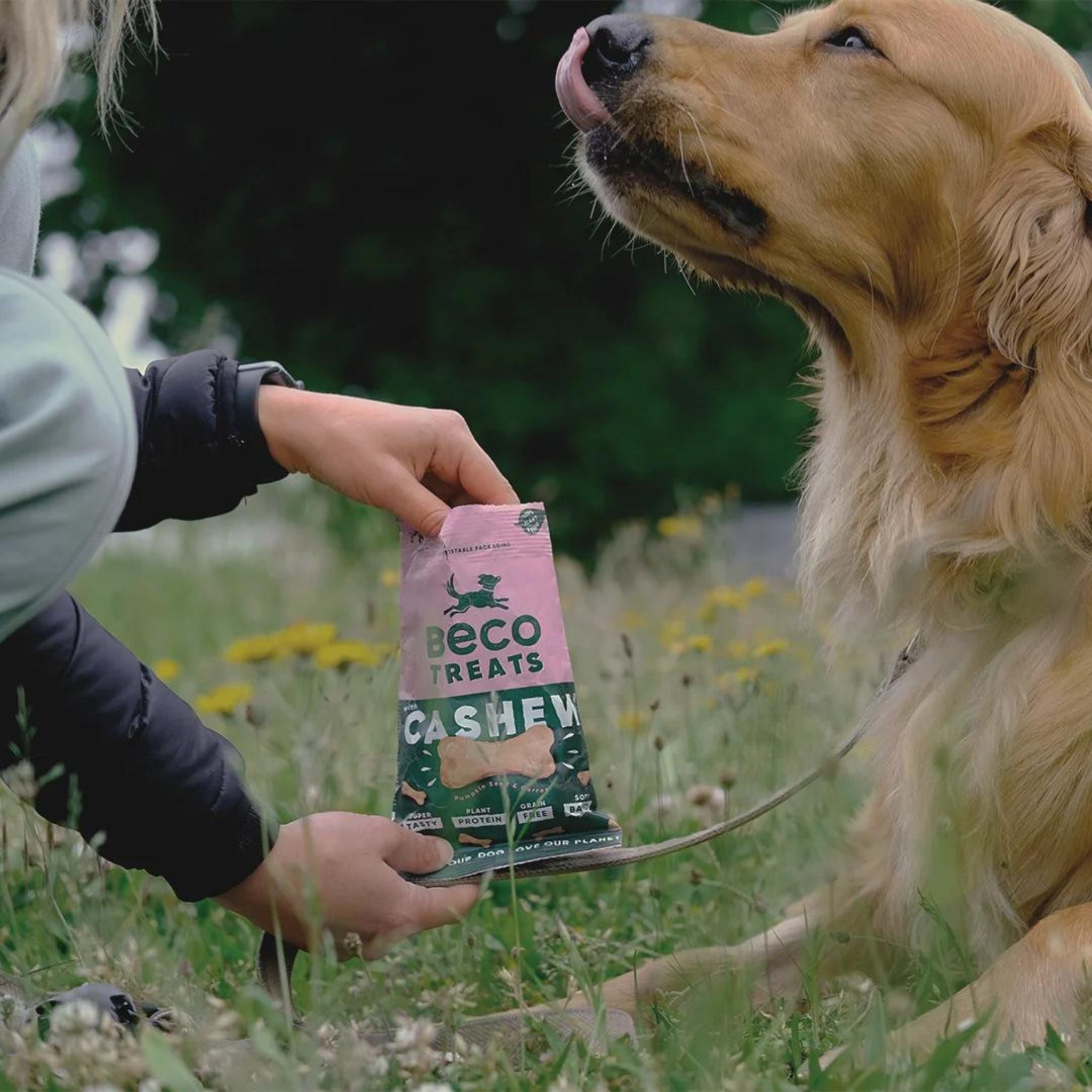 Vegane Hundeleckerli Beco Pets / Hundeleckerlis bei Fairtails