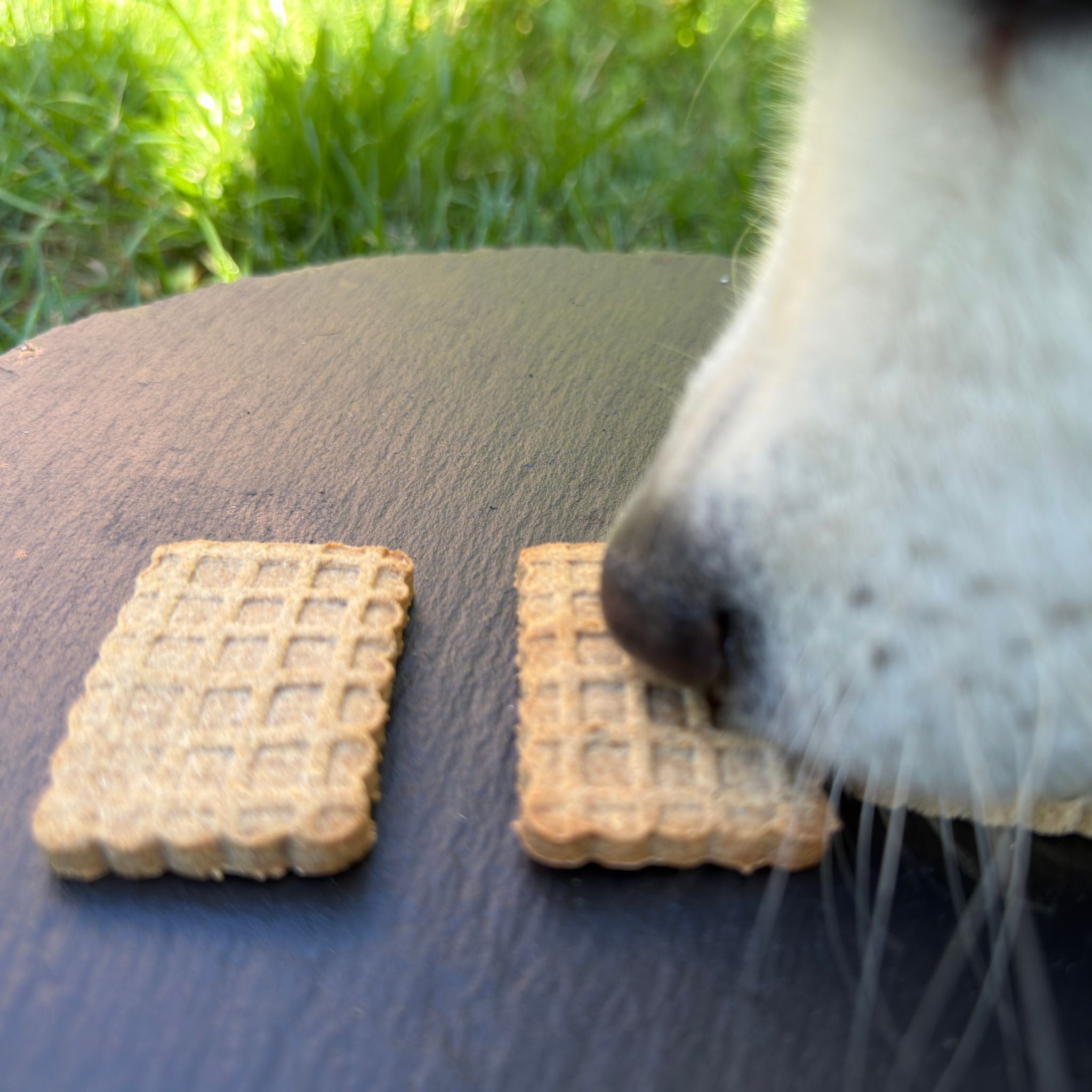 Fairtails Hundewaffeln mit Erdnuss und Banane