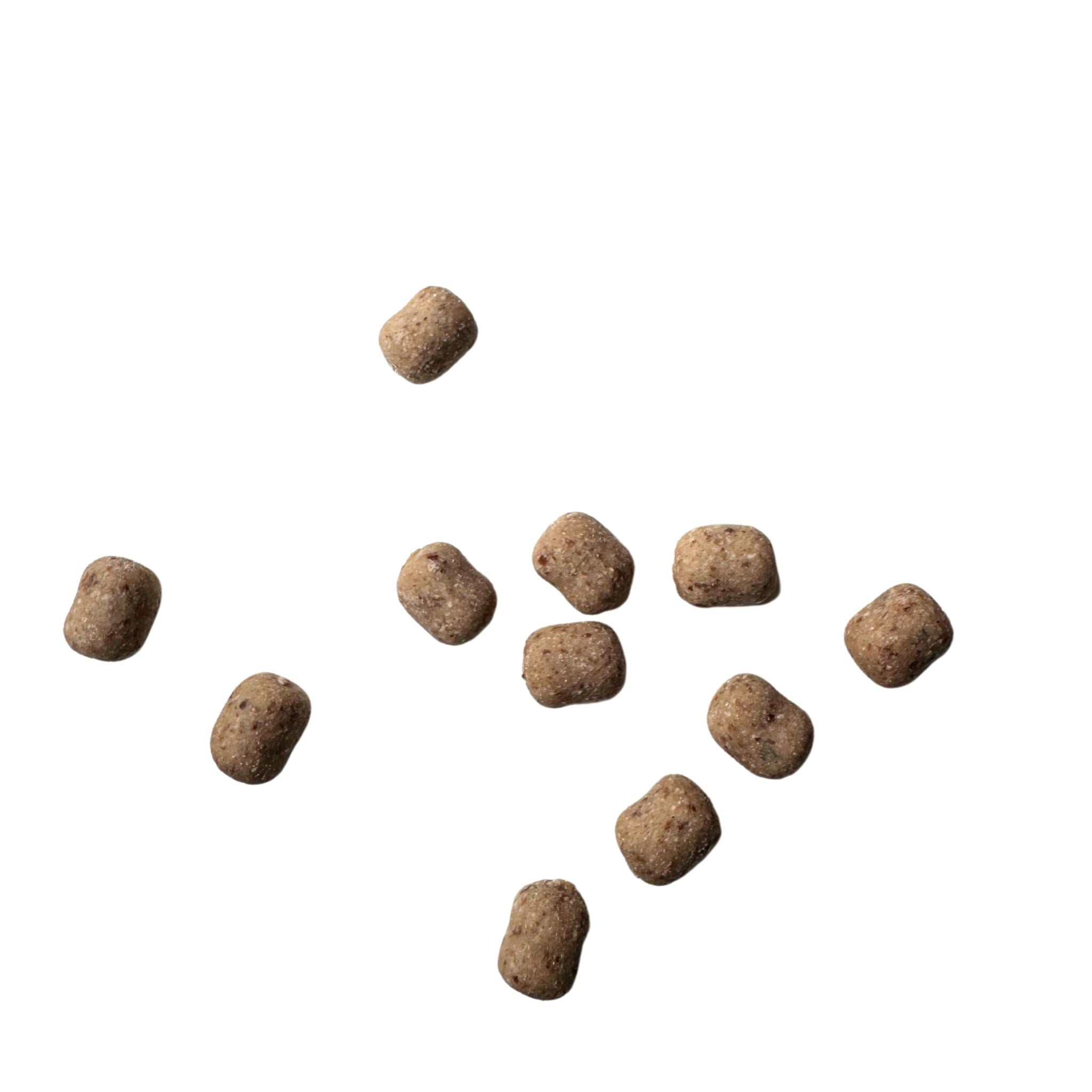 Fairtails Softies mit Kokos und Apfel - fruchtige Happen
