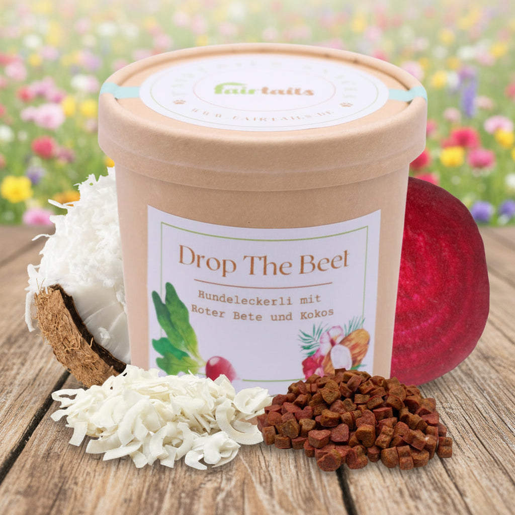 Vegane Hundeleckerli mit Kokos und Rote Beete bei Fairtails