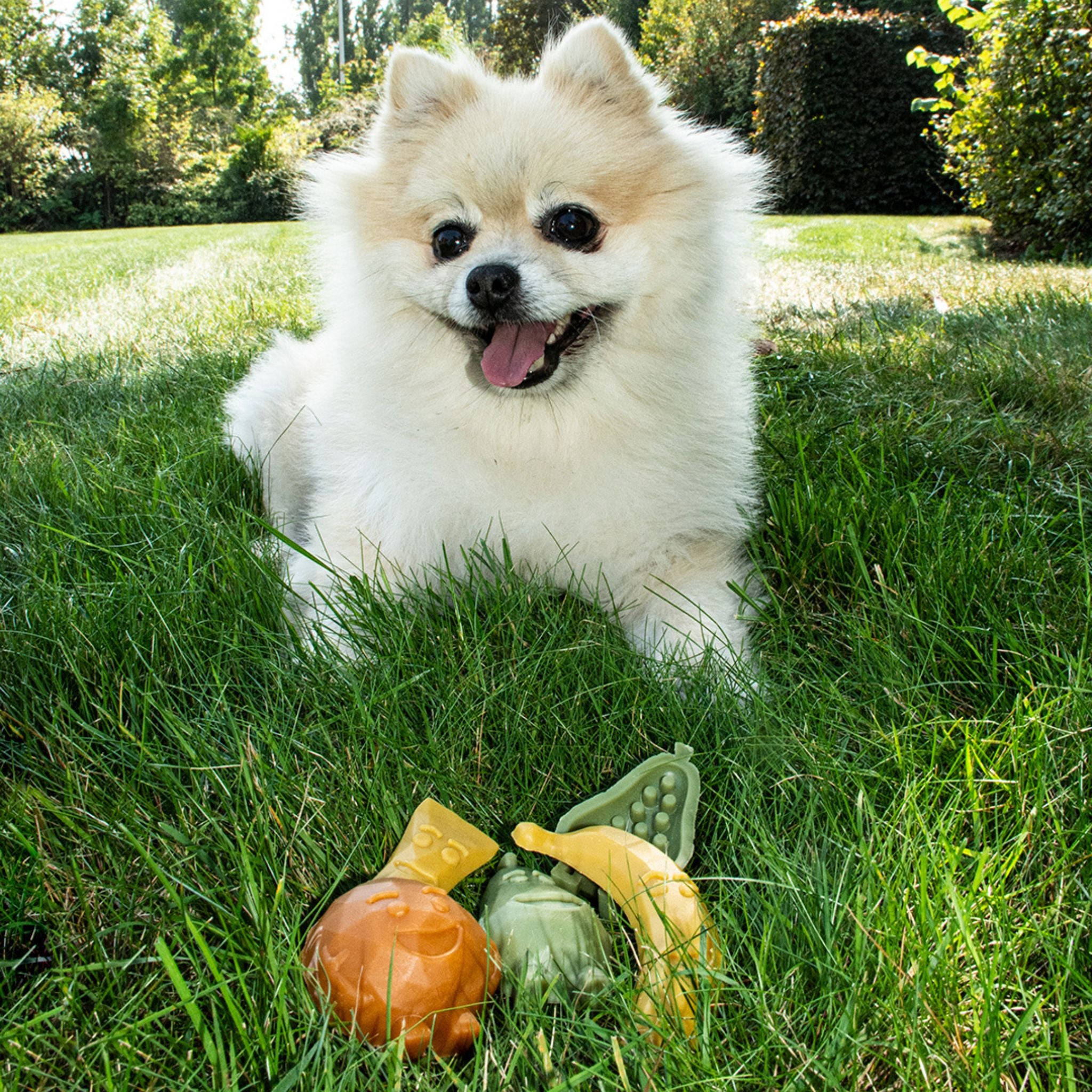 Garden Bites Fruity Friends | vegane Kauartikel Hund | Fairtails