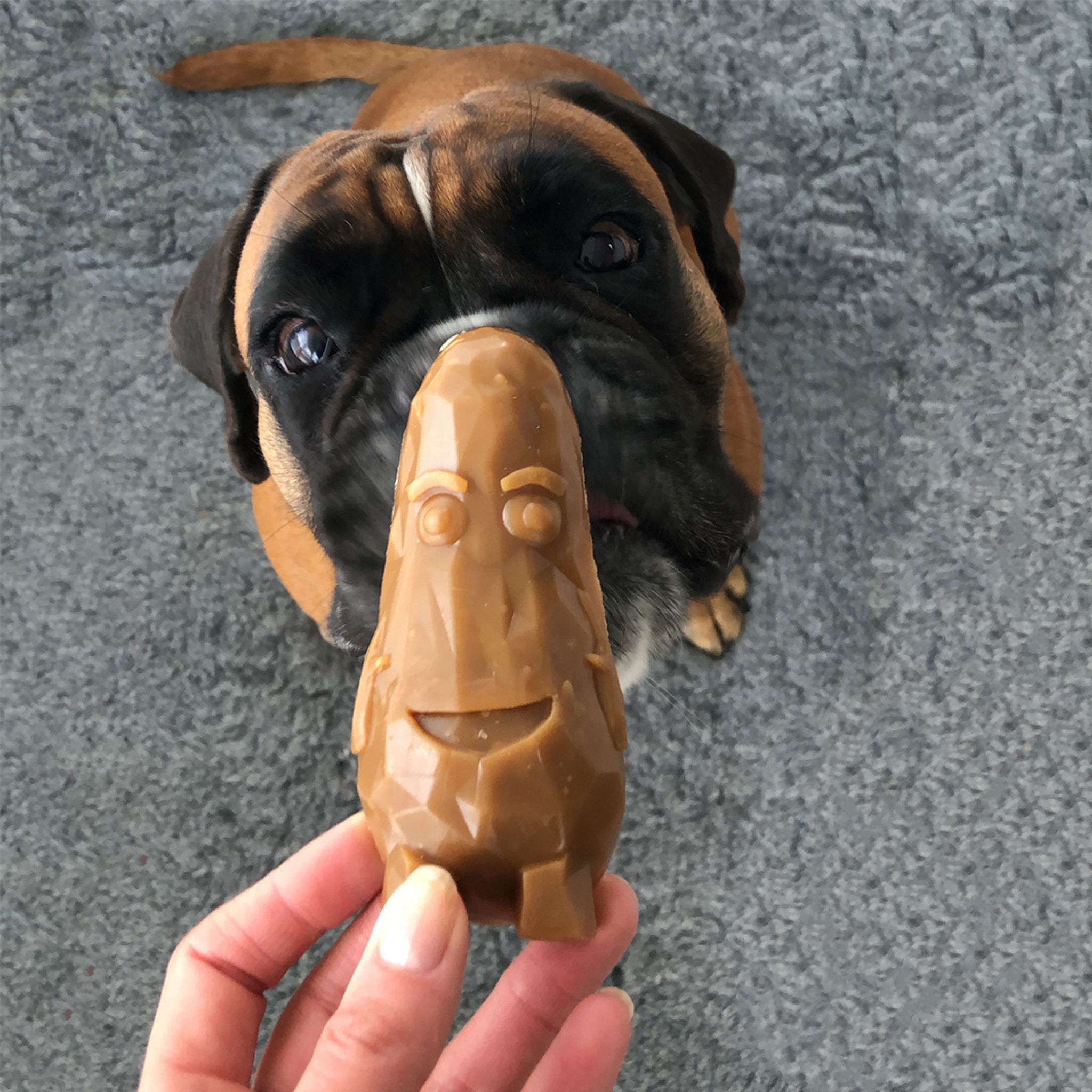 Garden Bites Veggie Friends Large - veganer Kausnack Hund