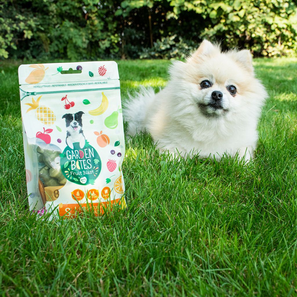 Garden Bites Fruity Tonya Toothpaste - veganer Kausnack für Hunde | Fairtails