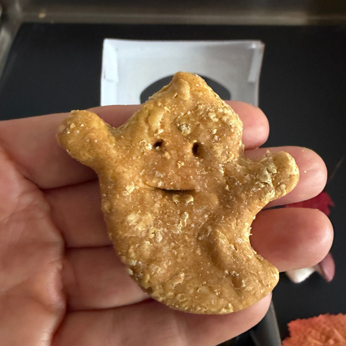 Vegane Hundekekse - Ghosties Halloween bei Fairtails