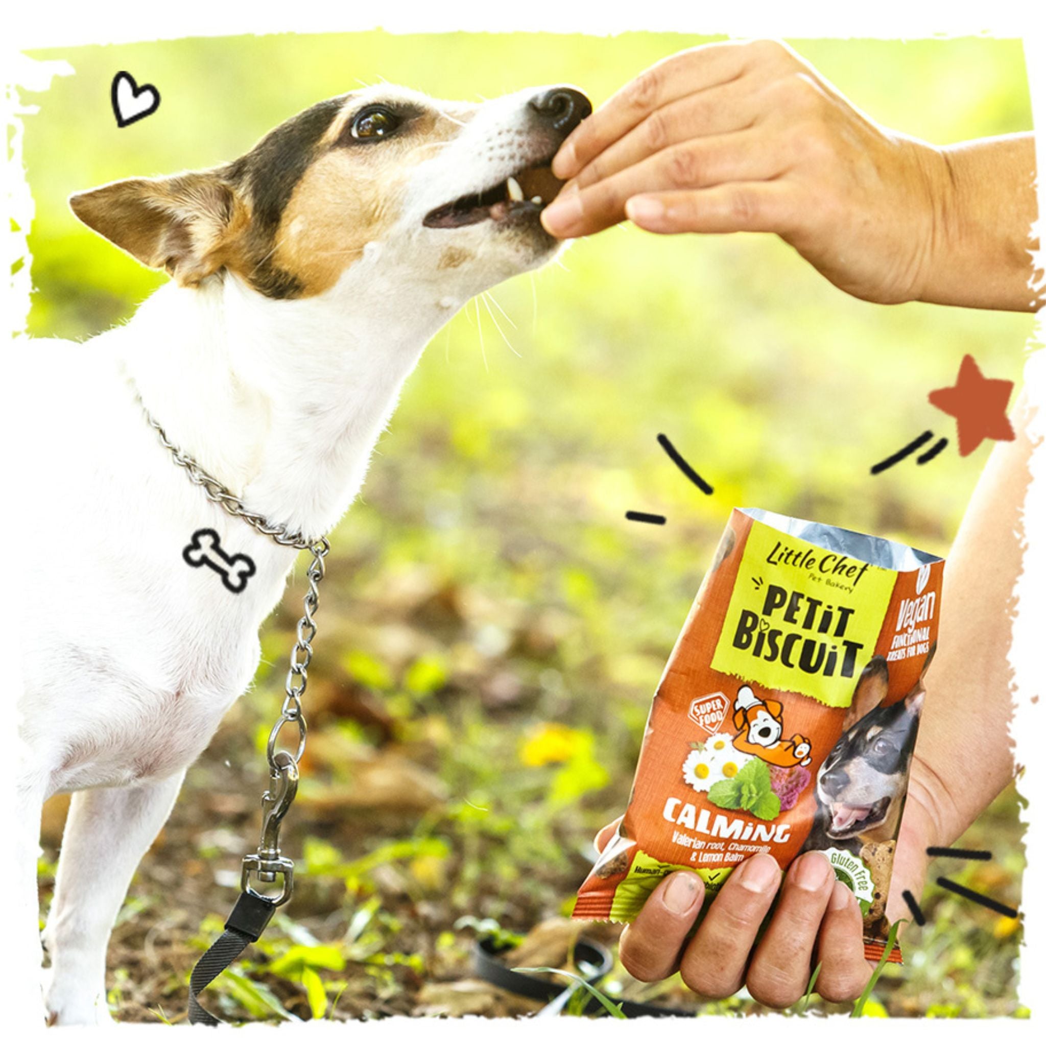 Little Chef Calming - Hundekekse mit Kräutern (100g)