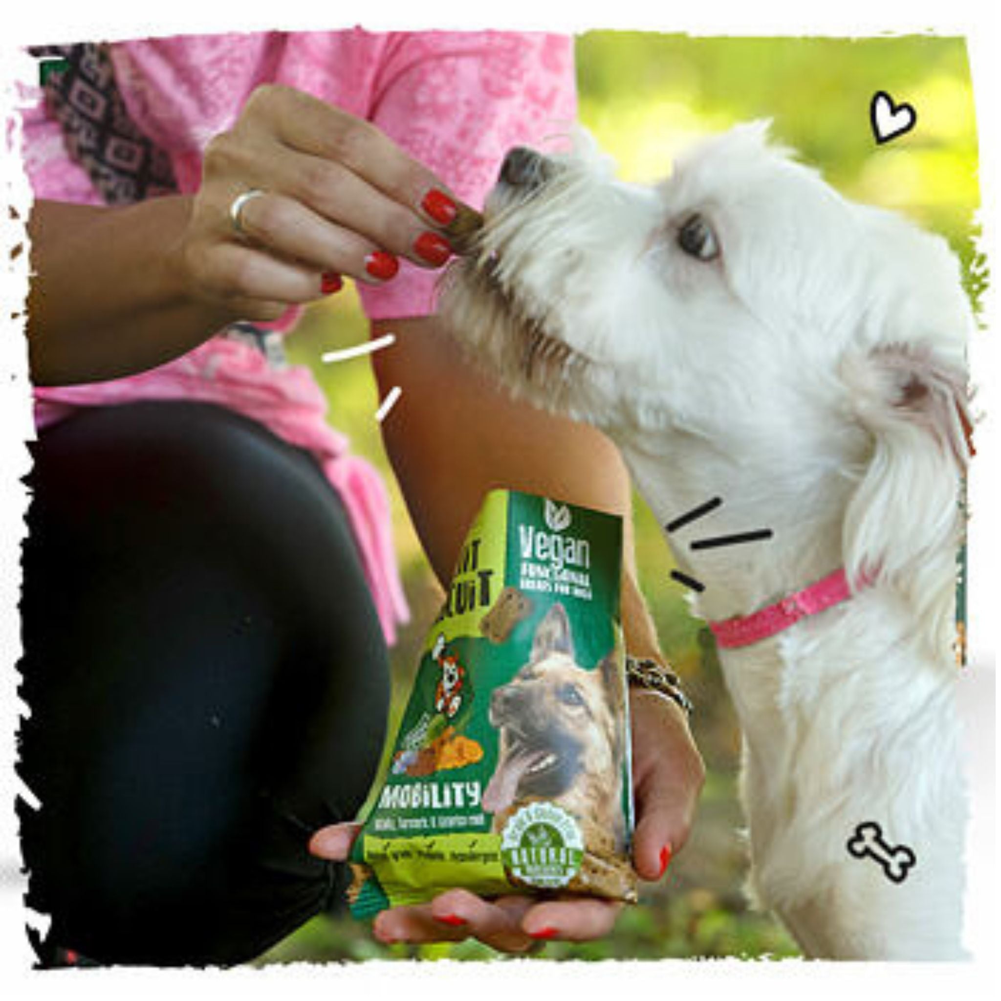 Little Chef Mobility vegane Hundekekse bei Fairtails