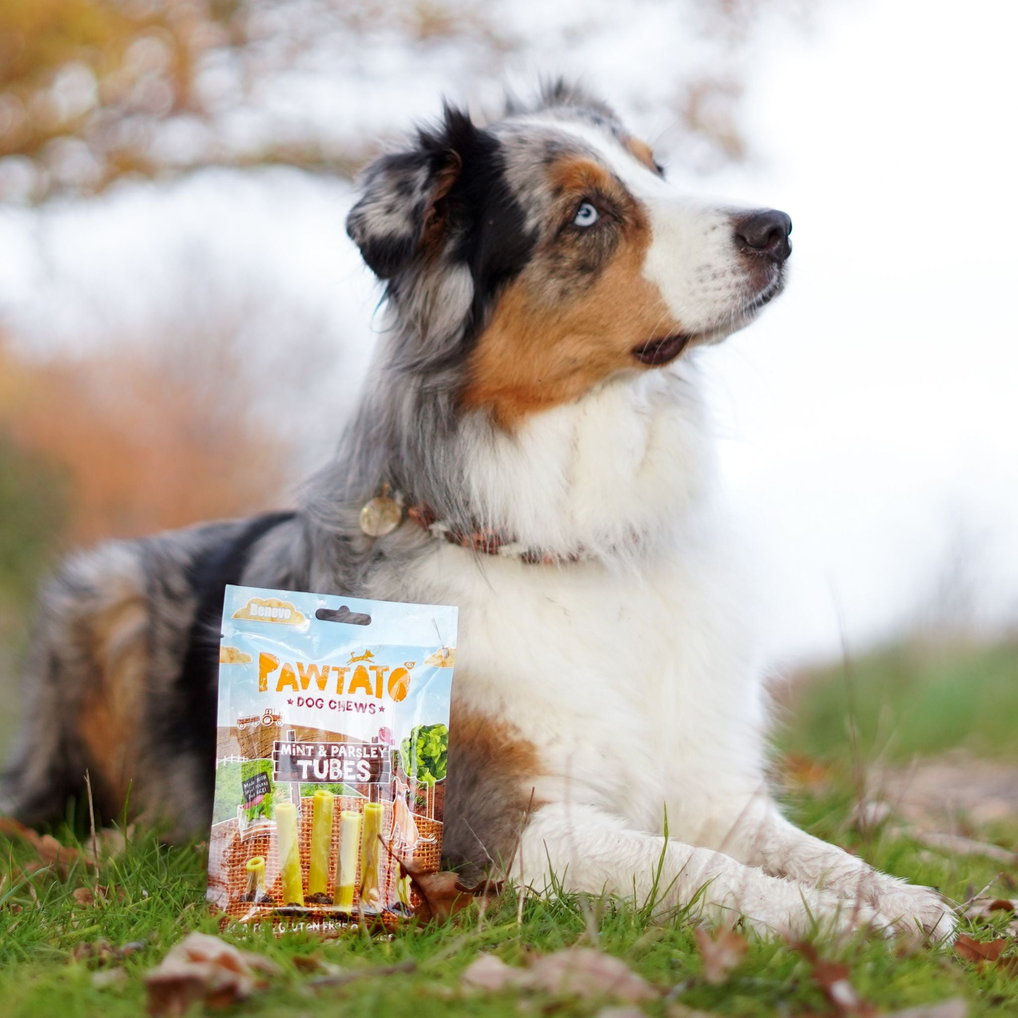 Benevo Pawtato Mint & Parsley Tubes - vegane Kauartikel Hund bei Fairtails