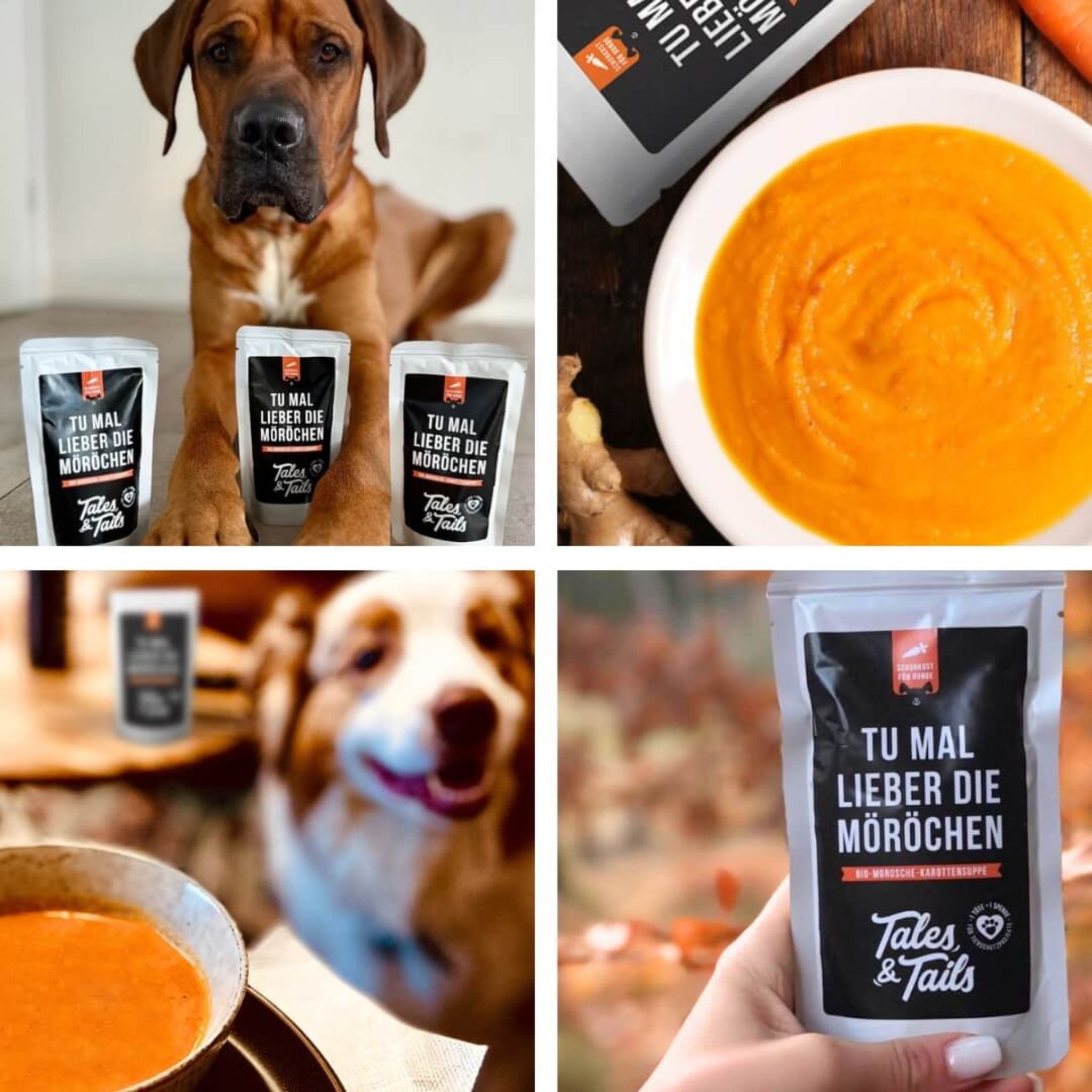 Tails & Tales Tu mal lieber die Möröchen - Morosche Karottensuppe