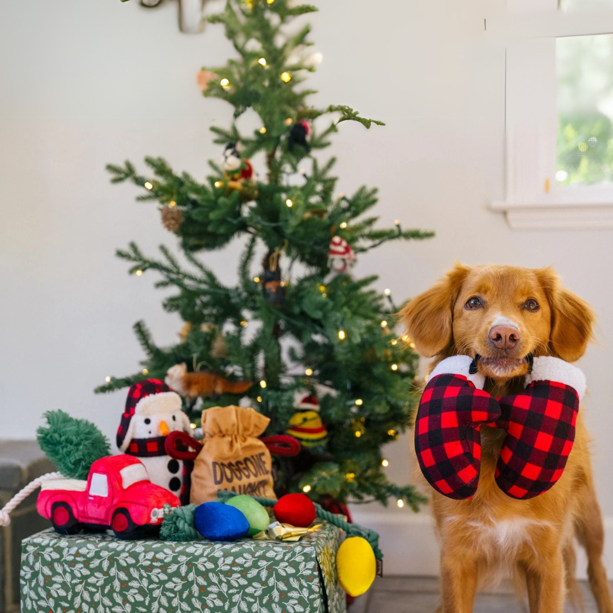 P.L.A.Y. Weihnachtsspielzeug Hund Fäustlinge - Weihnachtsgeschenk für Hunde bei Fairtails