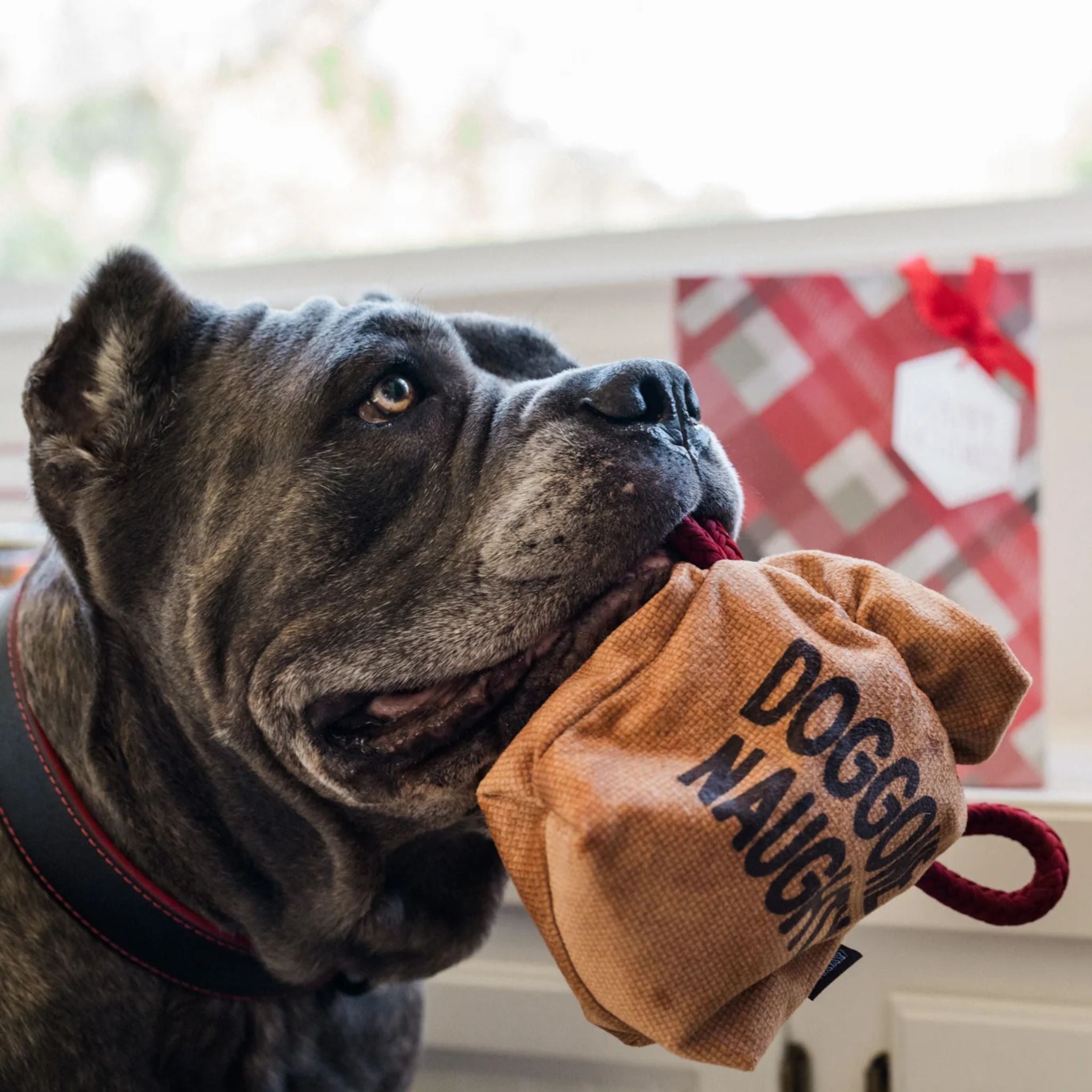 P.L.A.Y. Kohlesäckchen - Weihnachtsspielzeug für Hunde Fairtails