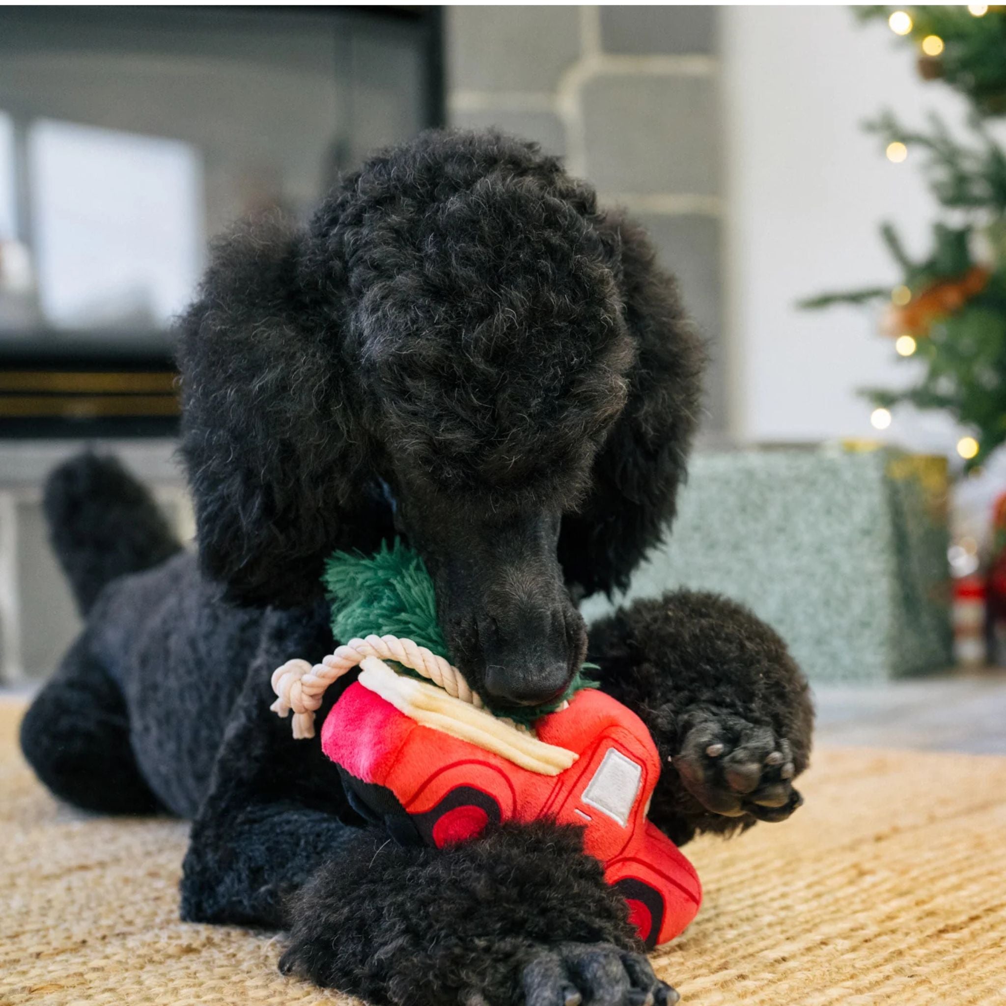 P.L.A.Y. Weihnachtstruck - Weihnachtsspielzeug für Hunde