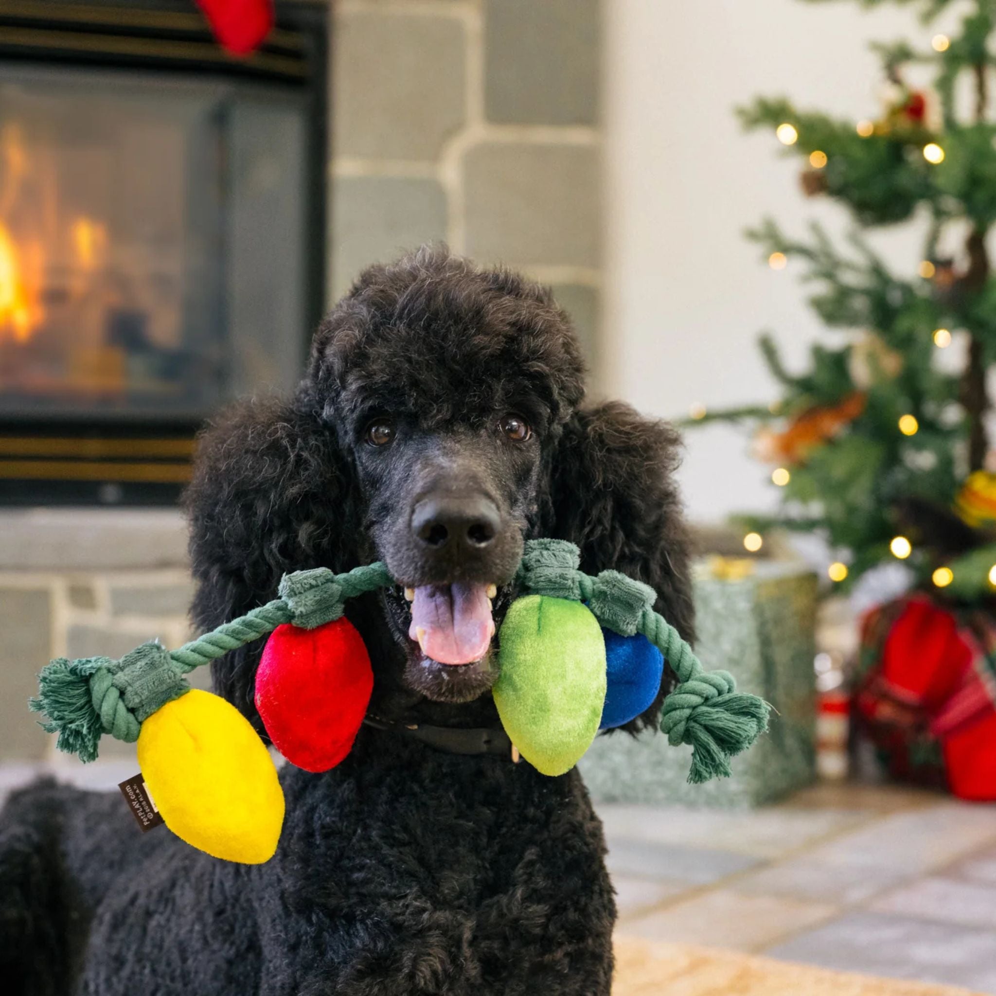 P.L.A.Y. Lichterkette - Weihnachtsspielzeug für Hunde