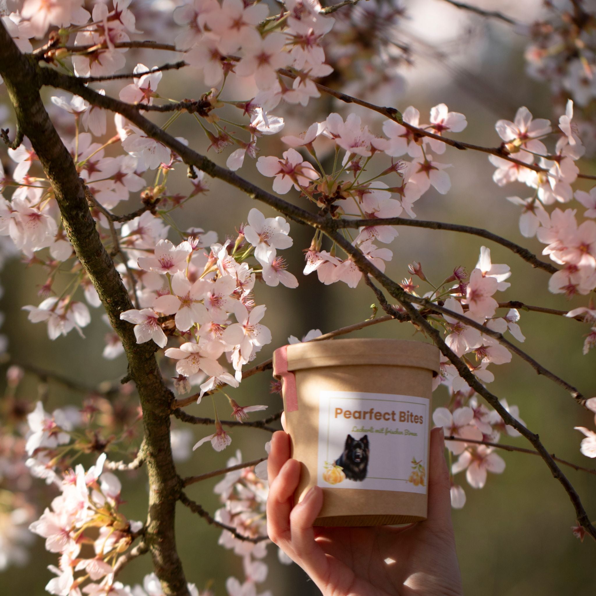 Fairtails Pearfect Bites - Vegane Hundeleckerli mit Birne (100g)