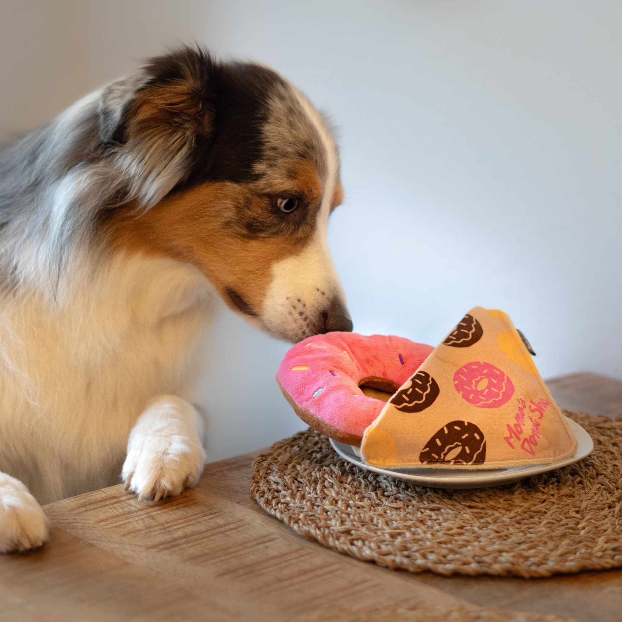 Nachhaltiges Hundespielzeug bei Fairtails