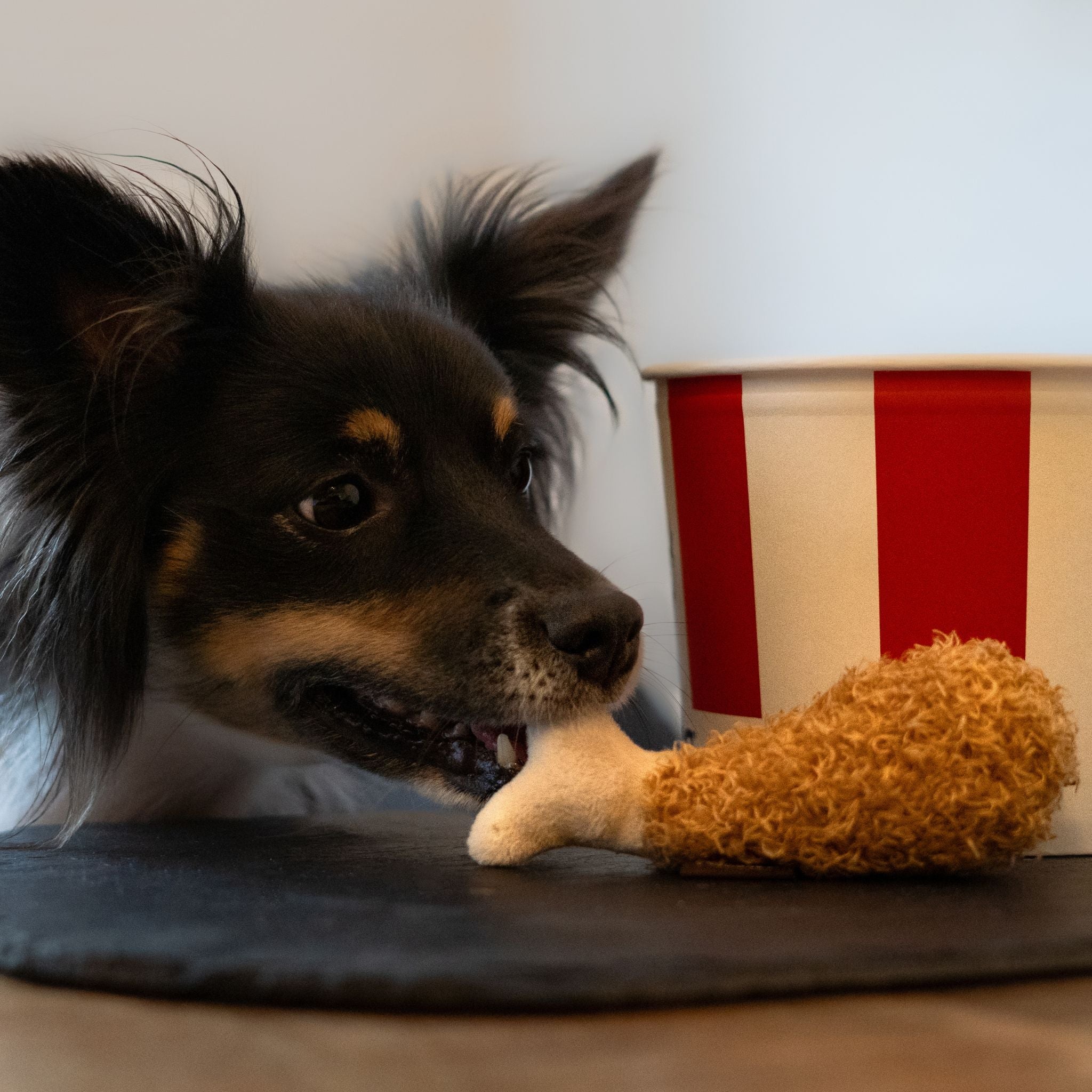 P.L.A.Y. Hähnchenschenkel - Nachhaltiges Hundespielzeug bei FairTails
