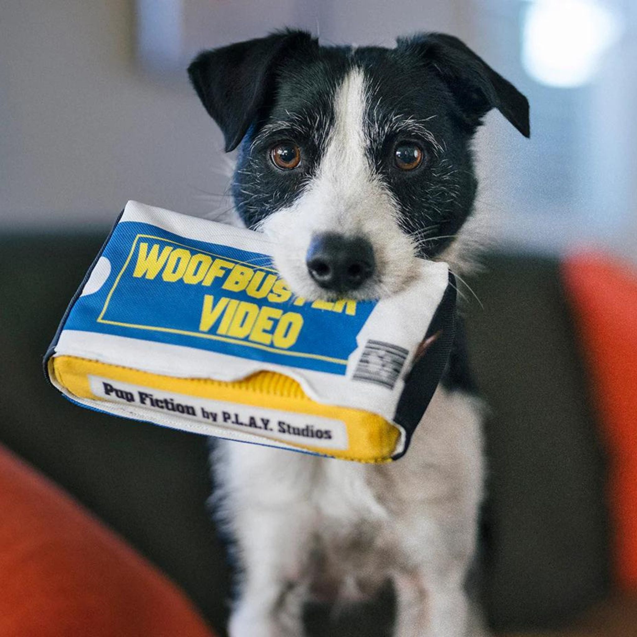 P.L.A.Y. Hundespielzeug  Videokasette- Plüschspielzeug Hund bei Fairtails