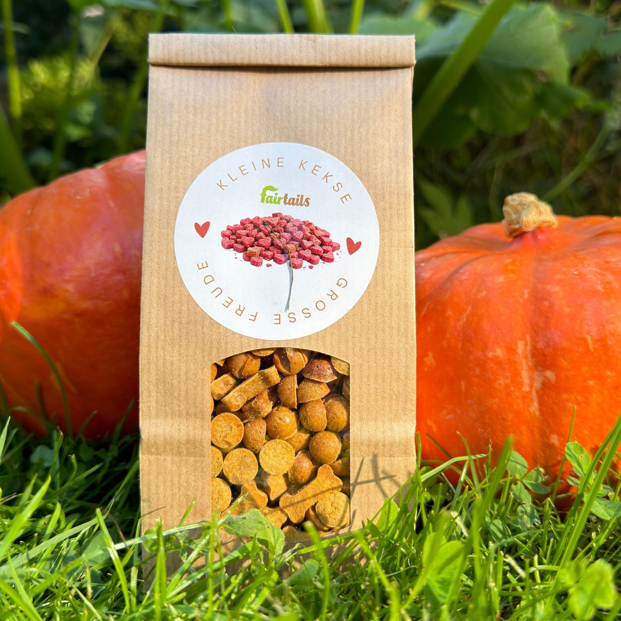 Fairtails Pupkin Bites Mini - Vegane Hundeleckerli mit Kürbis, Apfel und Karotte für kleine Hunde