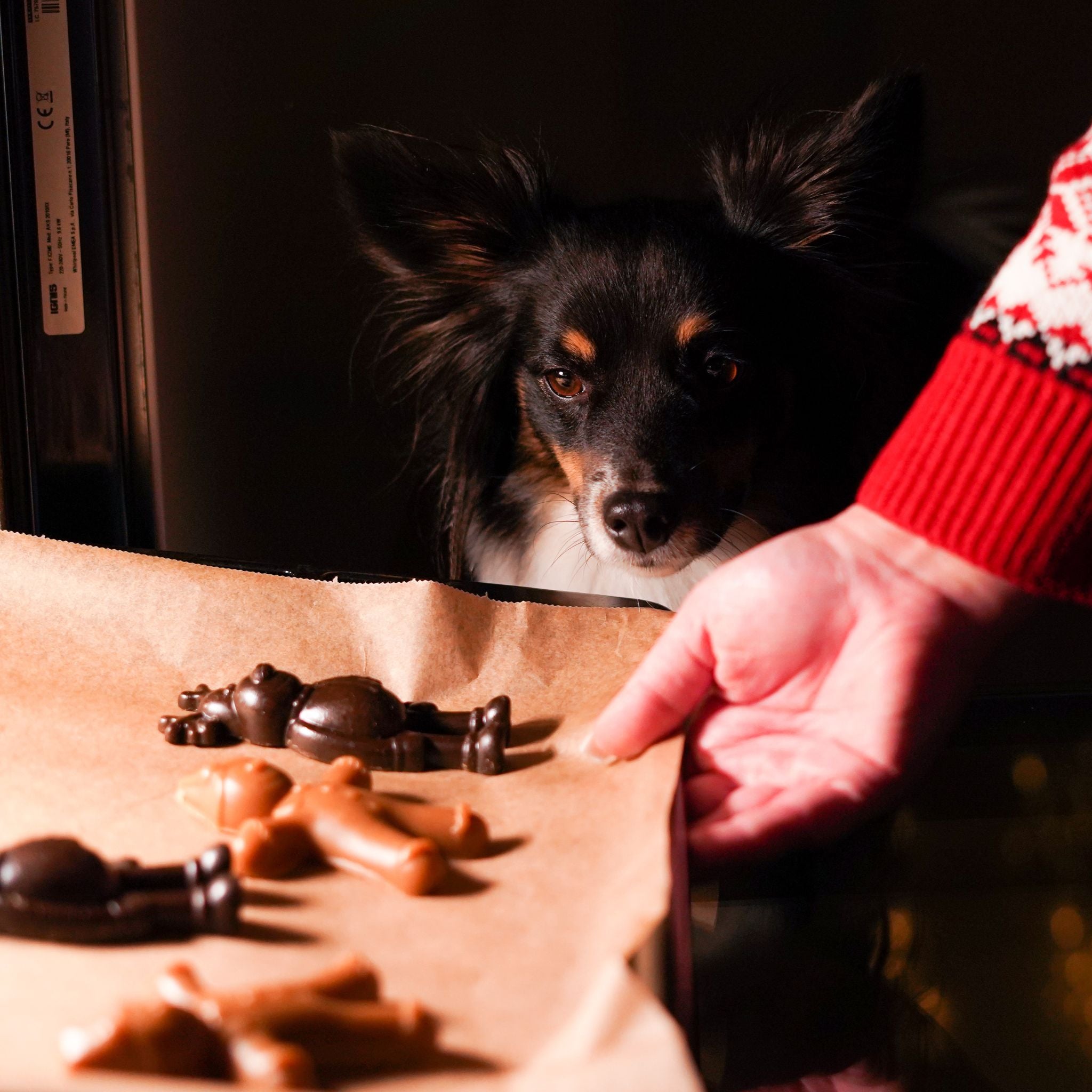 Antos Rudolph & Gingy - vegane Weihnachtssnacks für Hunde (10 Stück/460g)
