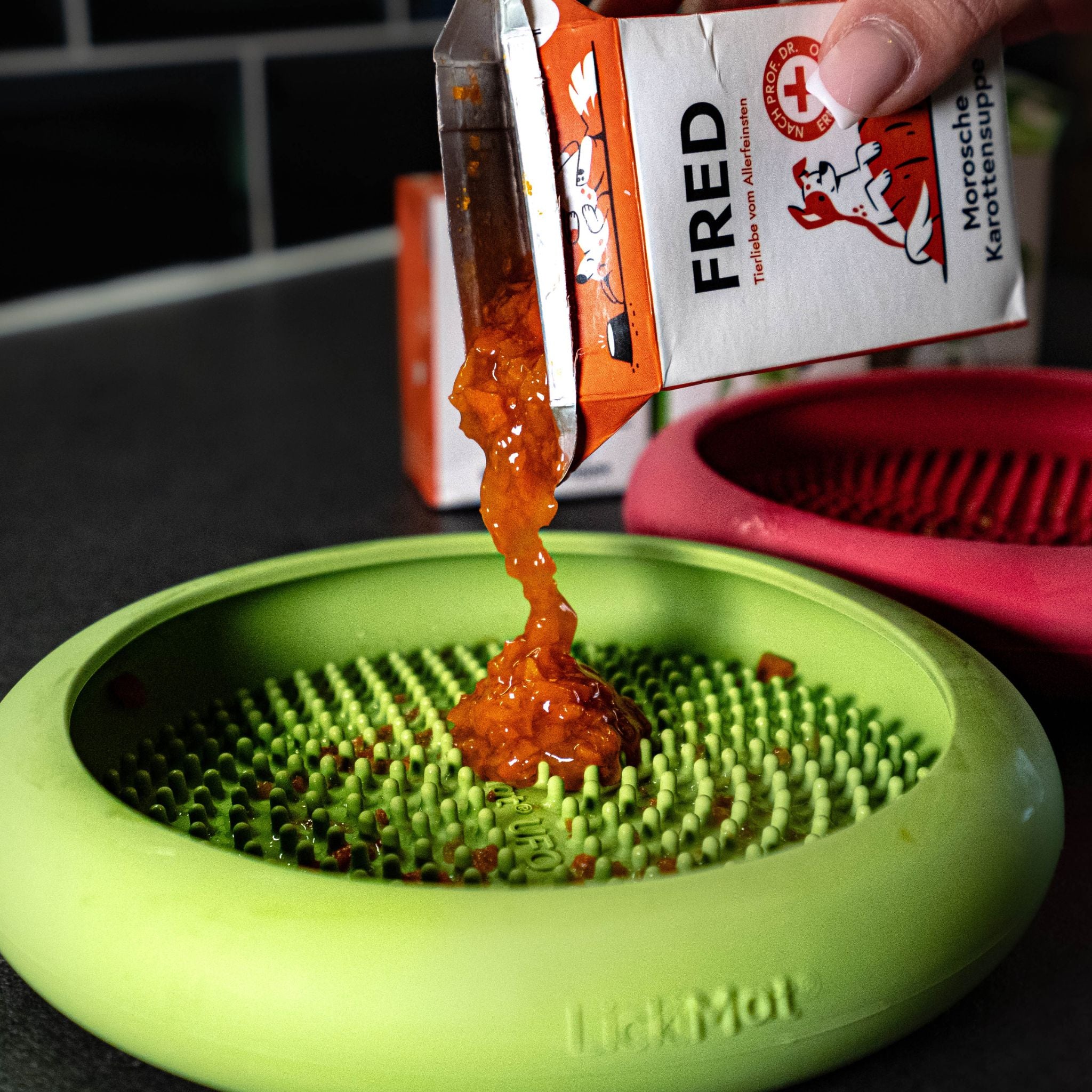 Fred und Felia Morosche Karotten Suppe Hund bei Fairtails