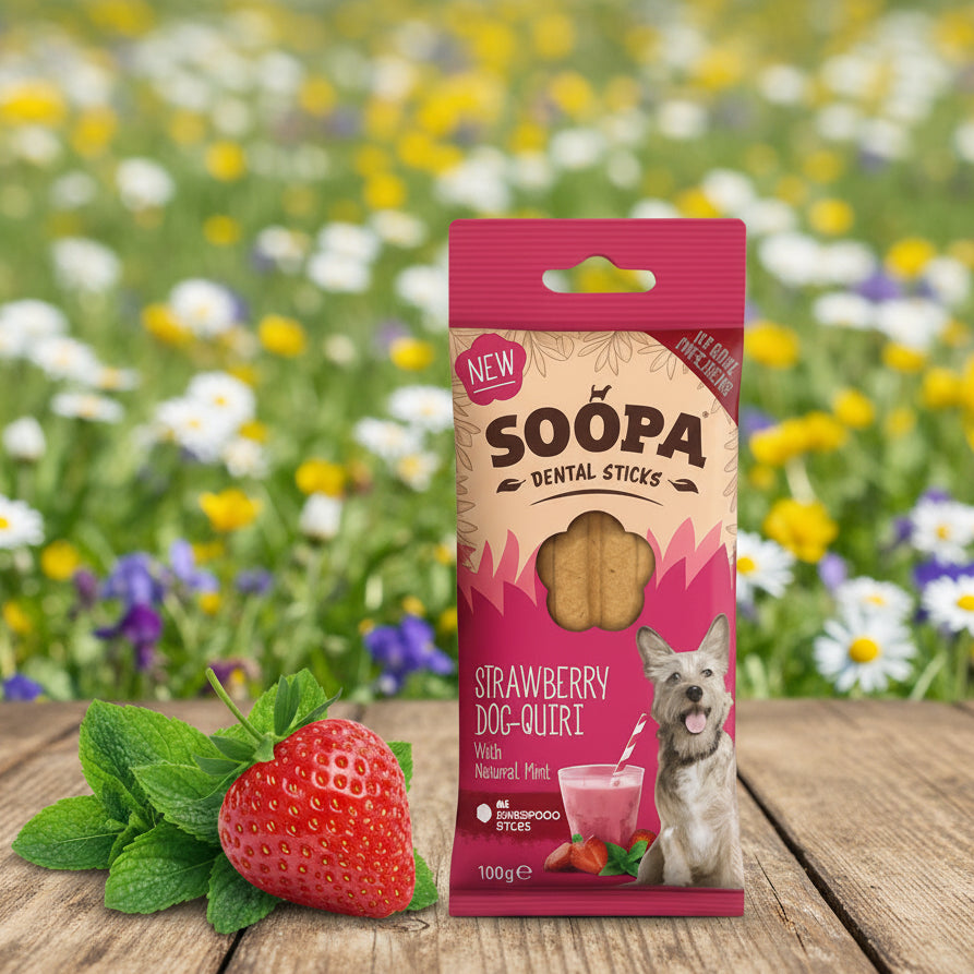 Soopa Pets Dog-Quiri Dental Sticks - vegane Kausticks mit Erdbeere und Kokos bei Fairtails