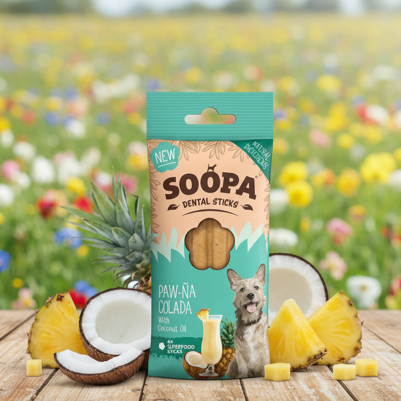 Soopa Pets vegane Dental Sticks Paw-Na Colada bei Fairtails