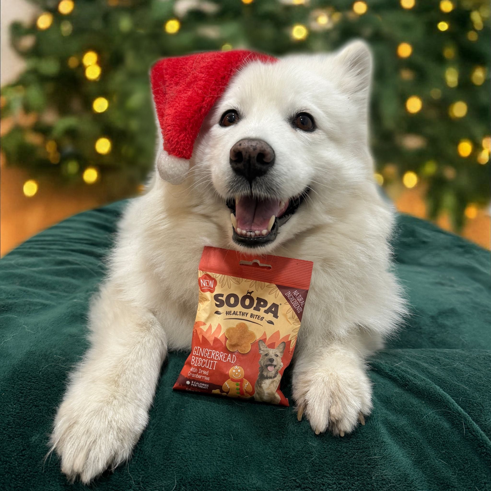 Soopa Pets Hundeleckerli Gingerbread Biscuit Healthy Bites bei Fairtails