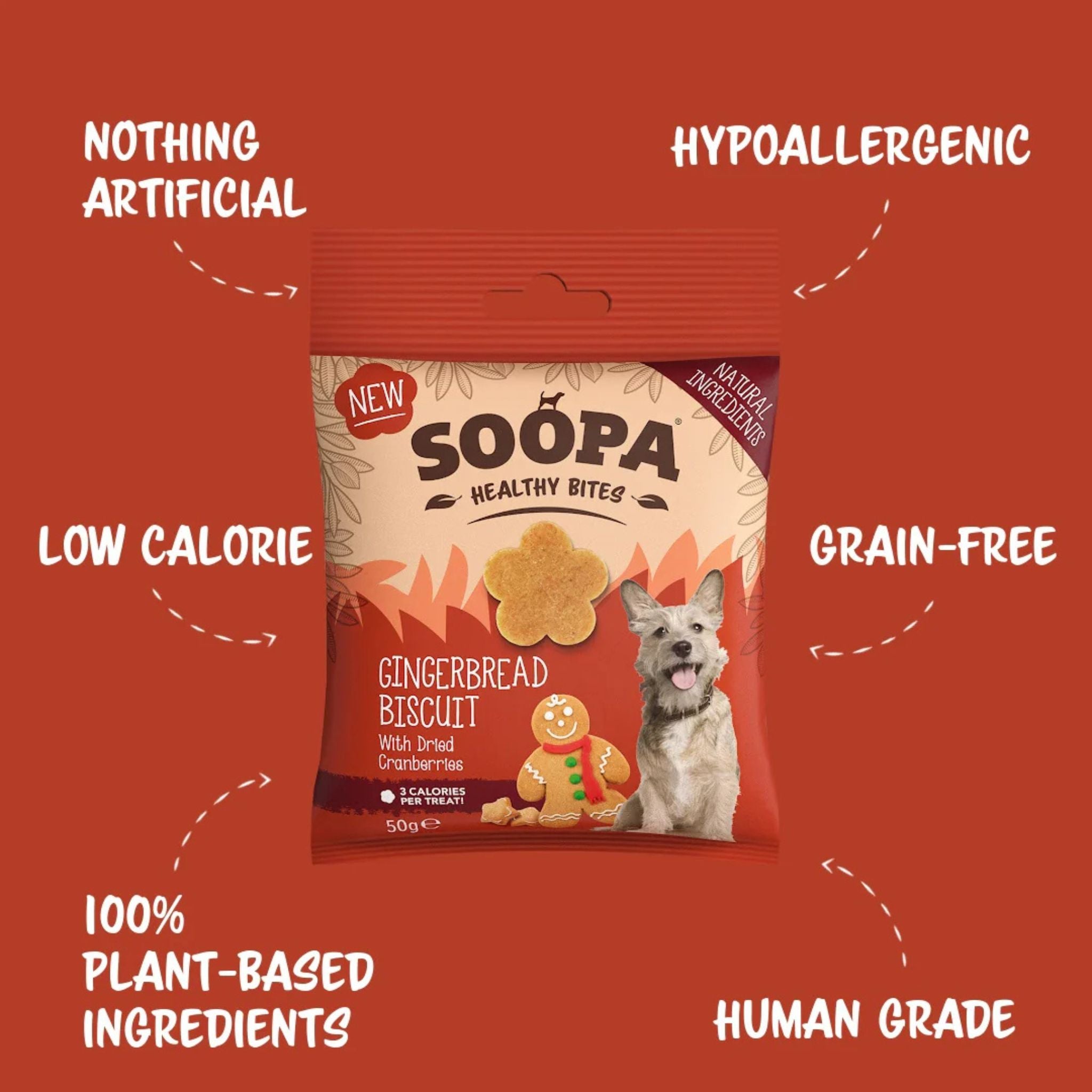 Soopa Pets Hundeleckerli Gingerbread Biscuit Healthy Bites bei Fairtails