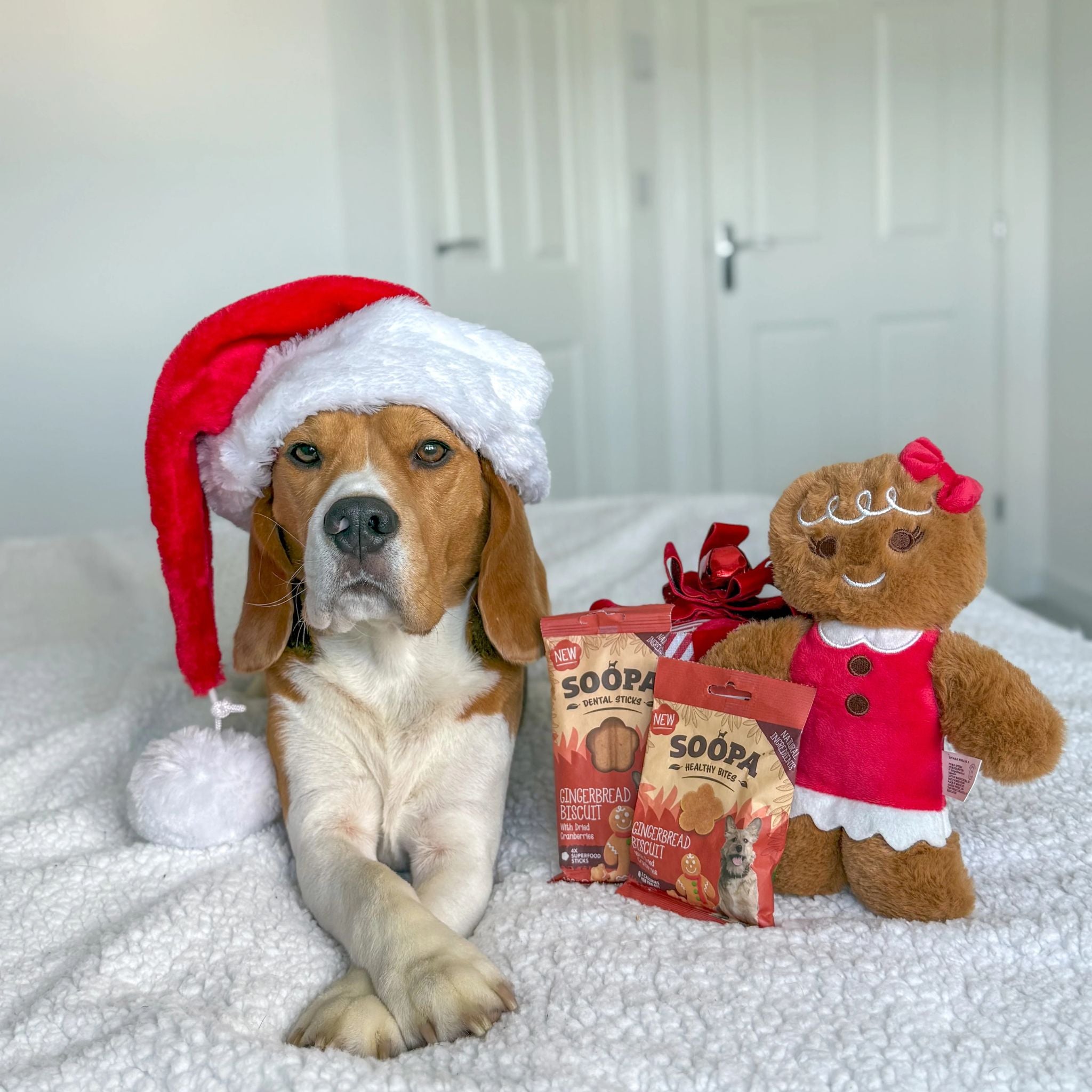 Soopa Pets Hundeleckerli Gingerbread Biscuit Healthy Bites bei Fairtails