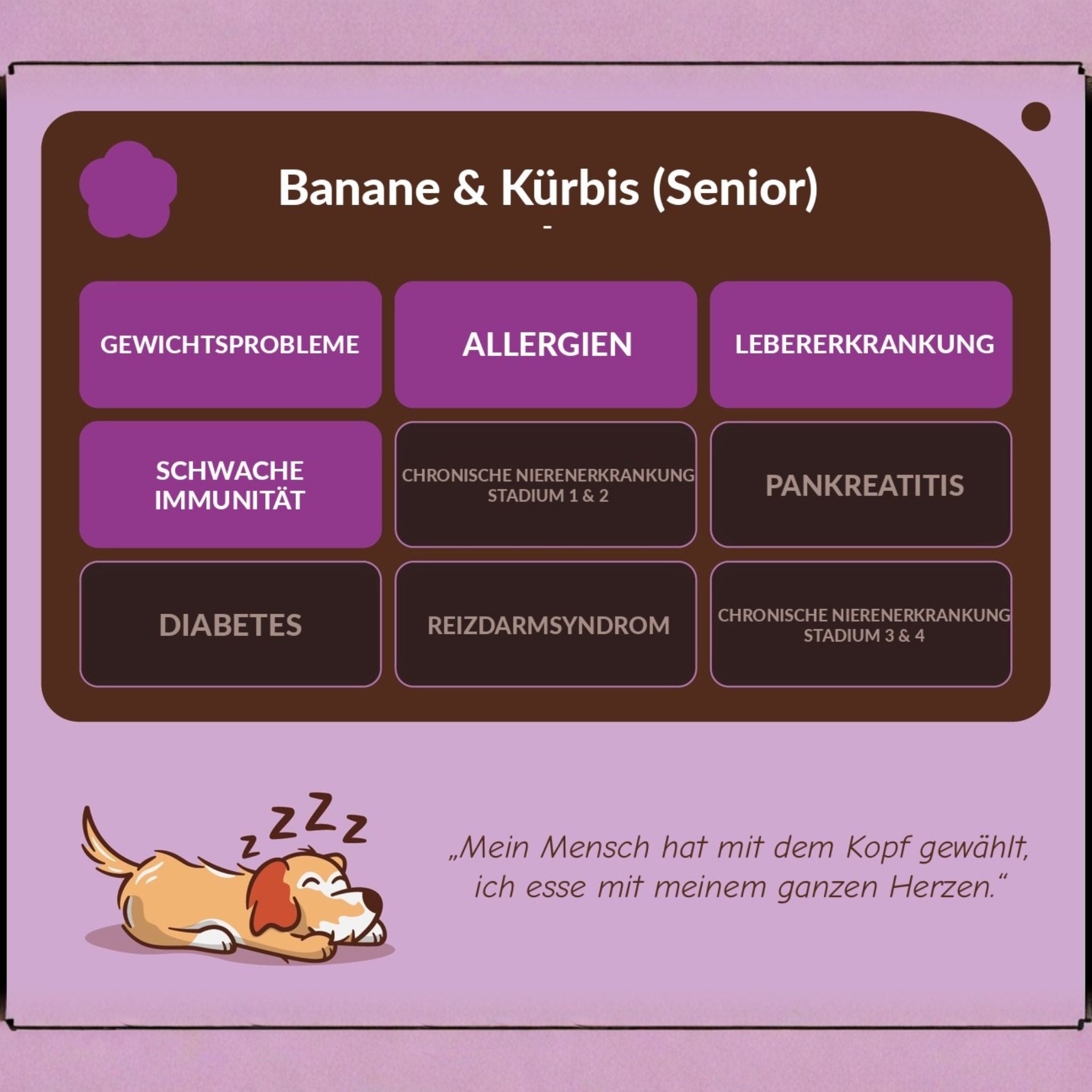 Soopa Healthy Bites Senior - vegane Hundeleckerli bei Fairtails