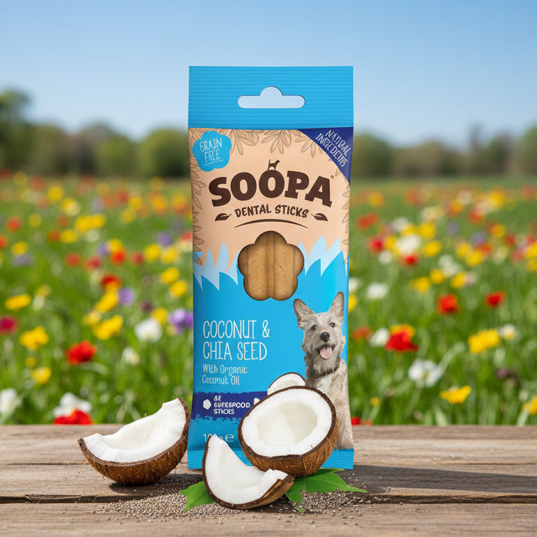 Soopa Pets Dental Sticks Coconut Chia bei Fairtails
