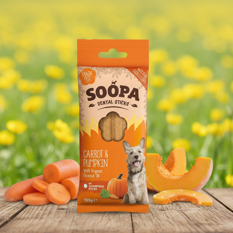 Soopa Pets Dental Sticks Kürbis Karotte bei Fairtails