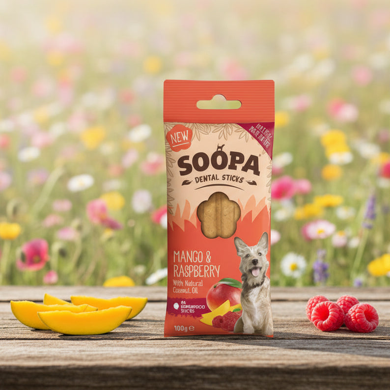 Soopa Pets Dental Sticks mit Mango und Himbeere bei Fairtails