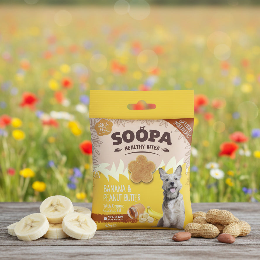 Soopa Pets Healthy Bites - vegane Hundeleckerli mit Banane und Erdnussbutter