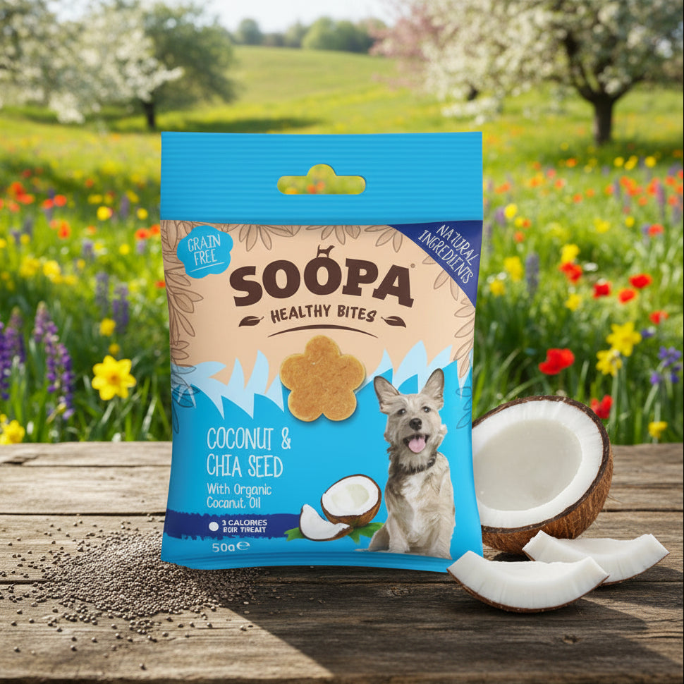Soopa Pets Healthy Bites - vegane Hundeleckerli mit Coconut & Chia Seed
