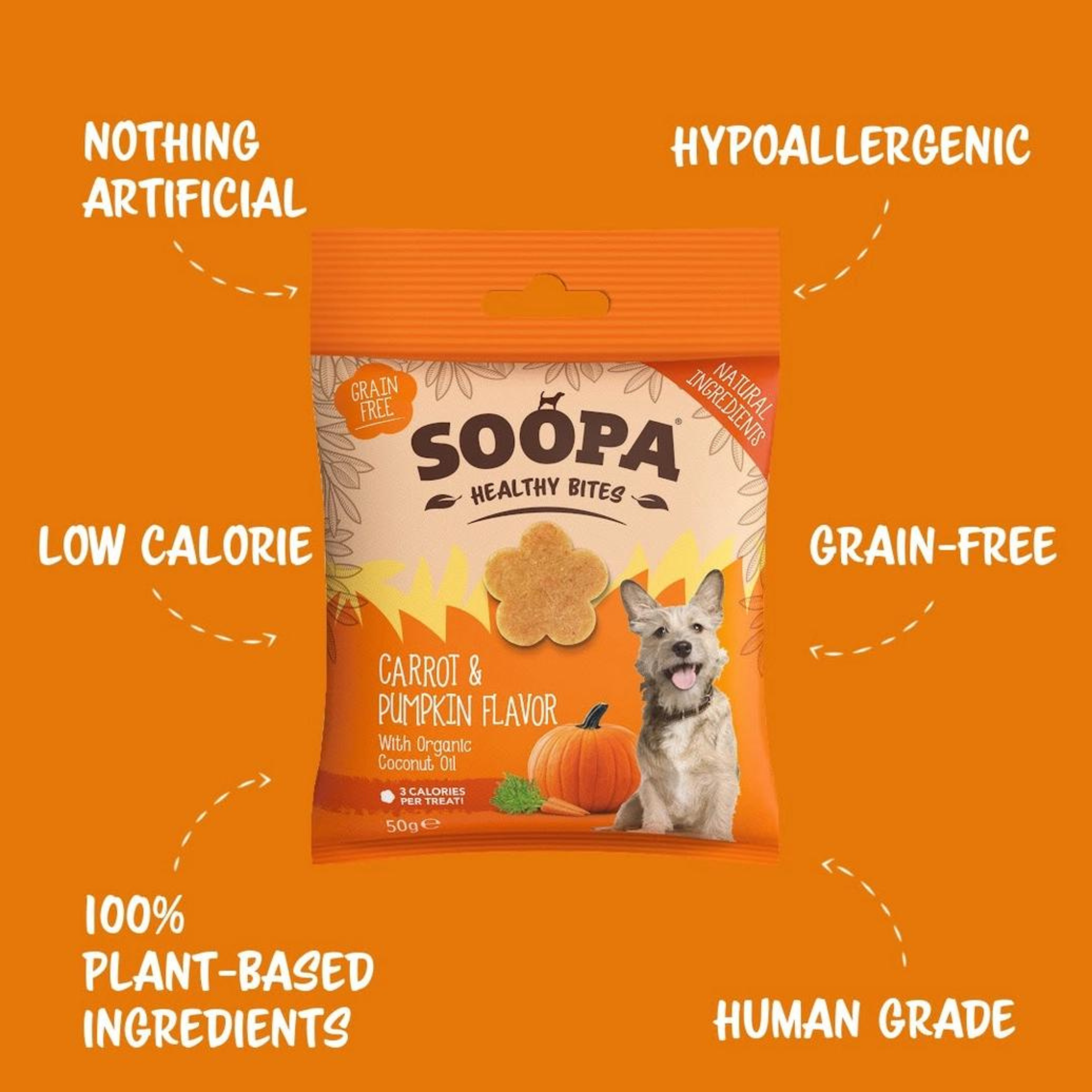 Soopa Pets Healthy Bites - vegane Hundeleckerli mit Kürbis und Karotte (50g)