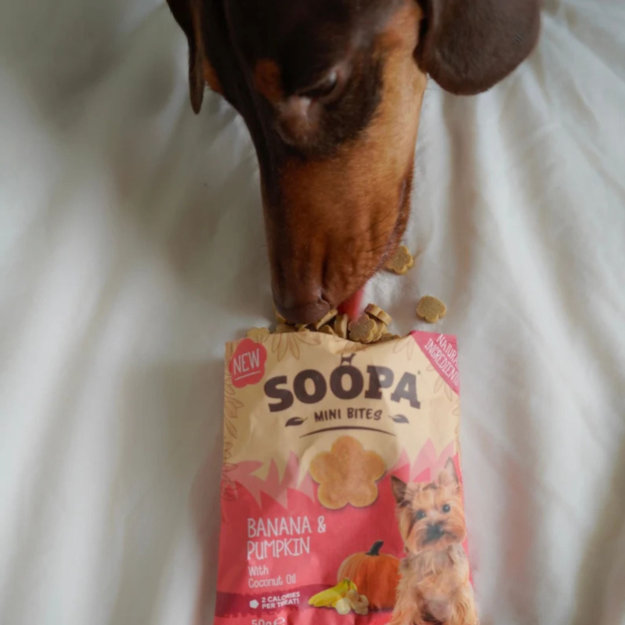 Soopa Pets MiniHealthy Bites Banane und Kürbis - vegane Hundeleckerli für kleine Hunde (50g)