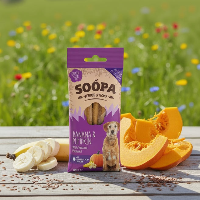 Soopa Pets Dental Sticks Senior bei Fairtails