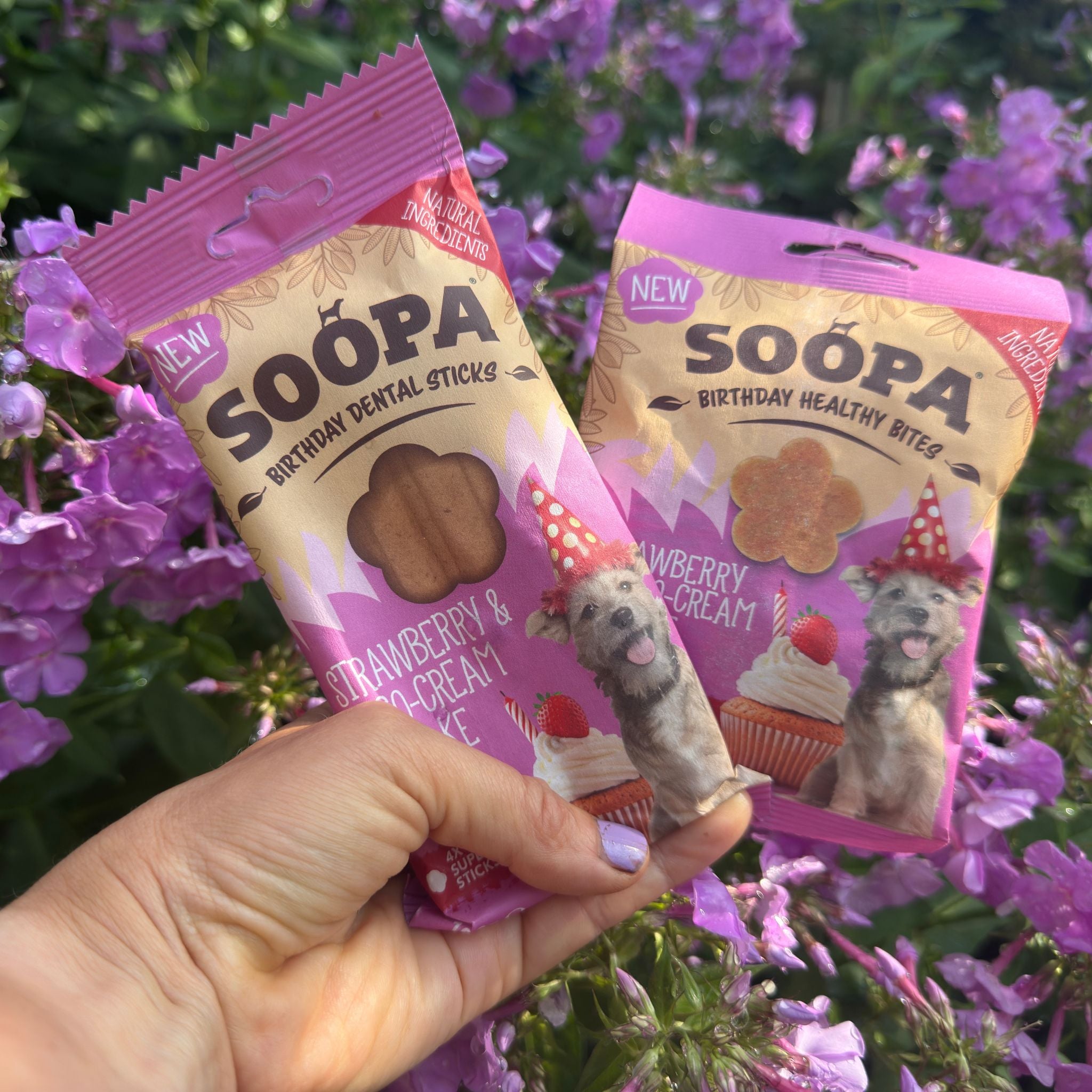 Soopa Pets Strawberry & Coco Bites - vegane Hundeleckerli mit Kokos und Erdbeere (50g)