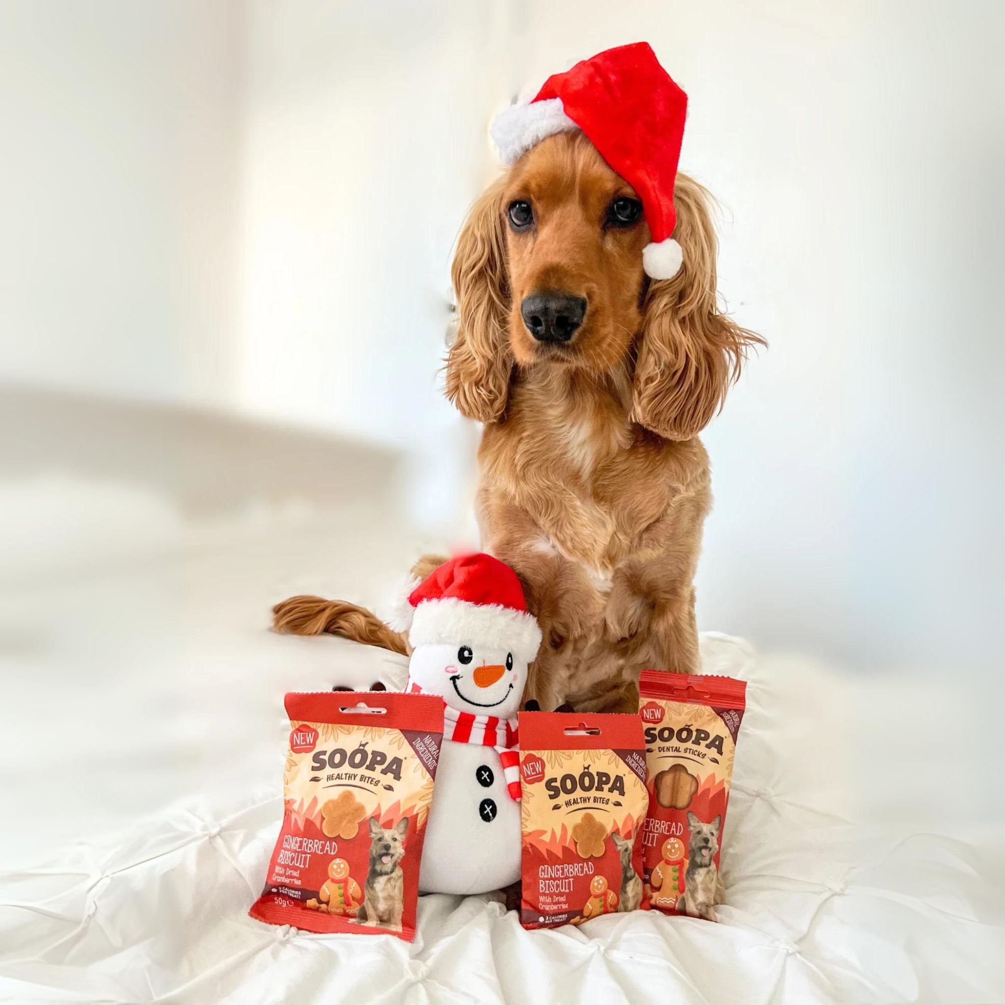 Soopa Gingerbread Biscuit Dental Sticks bei Fairtails