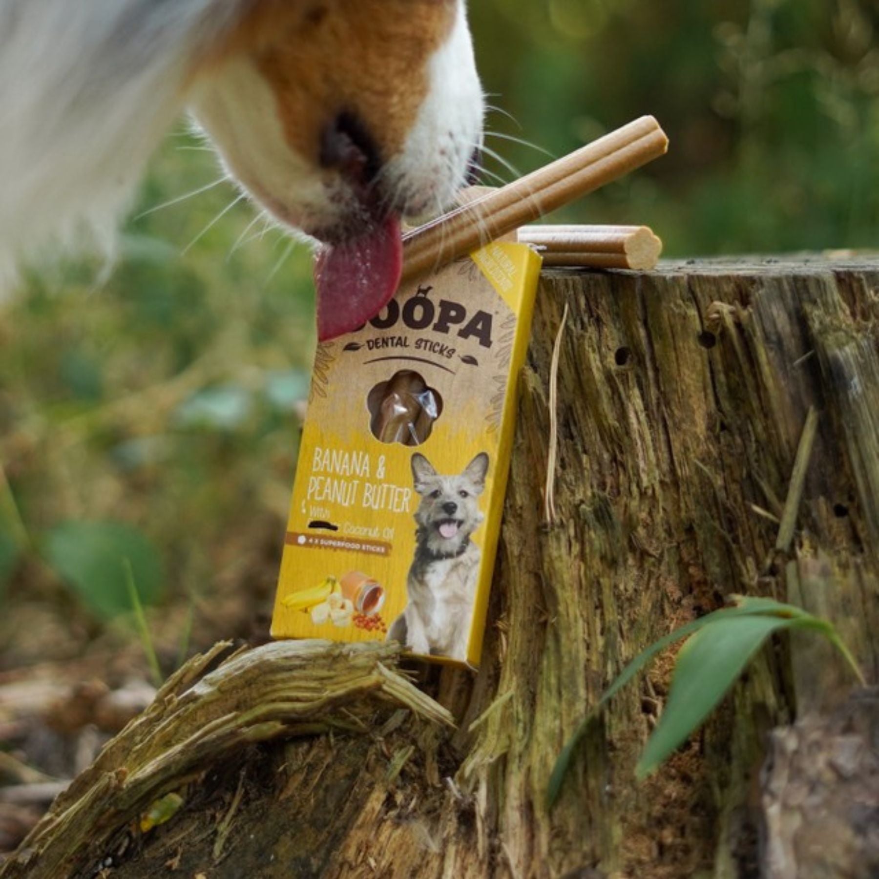 Soopa vegane Kaurtikel für Allergiker bei Fairtails