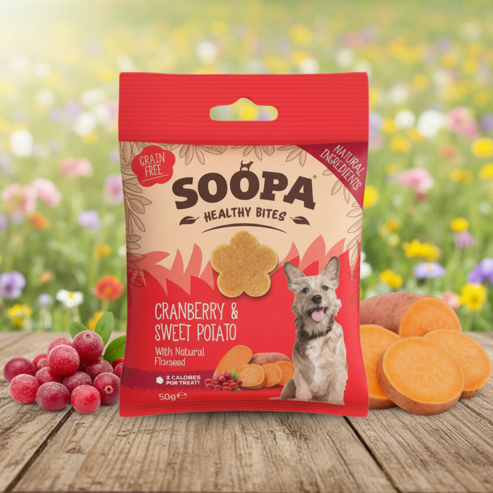 Soopa Pets Healthy Bites - vegane Hundeleckerli mit Cranberry & Süßkartoffel