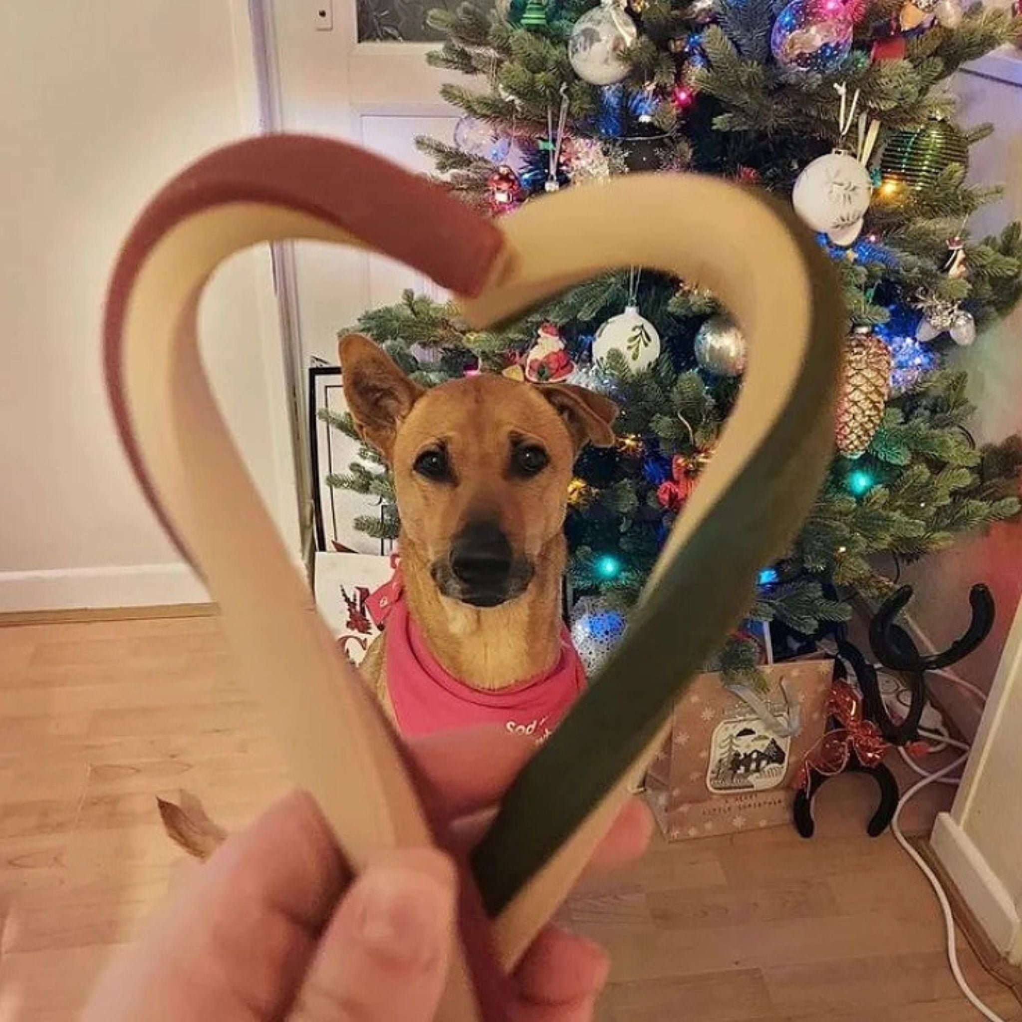 Veggie Sugar Cane - vegane Weihnachtssnacks für Hunde (2 Stück/126g)
