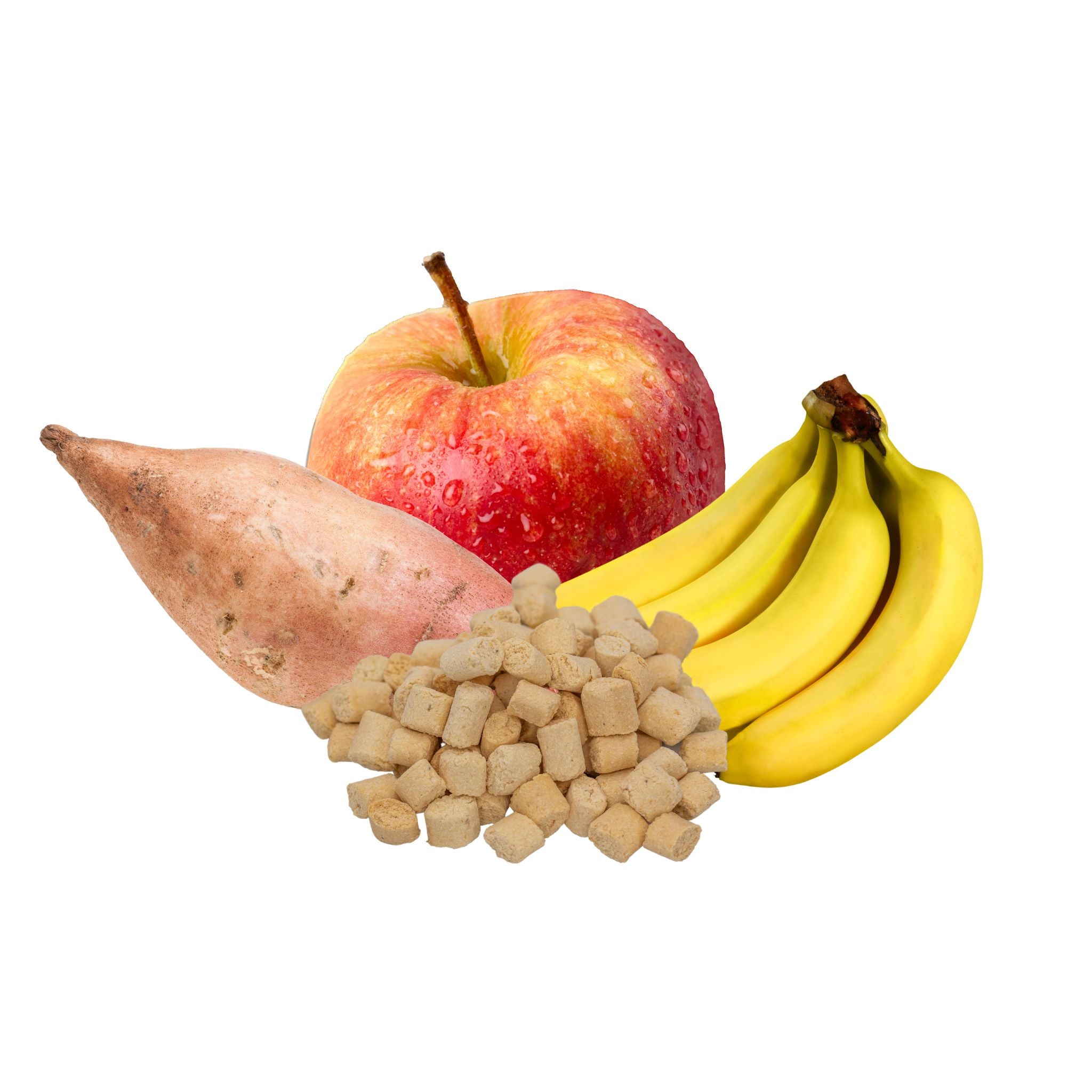 Fairtails Trainingssnacks Kokos Veggie - vegane Hundeleckerli mit Kokos, Obst und Gemüse (150g)
