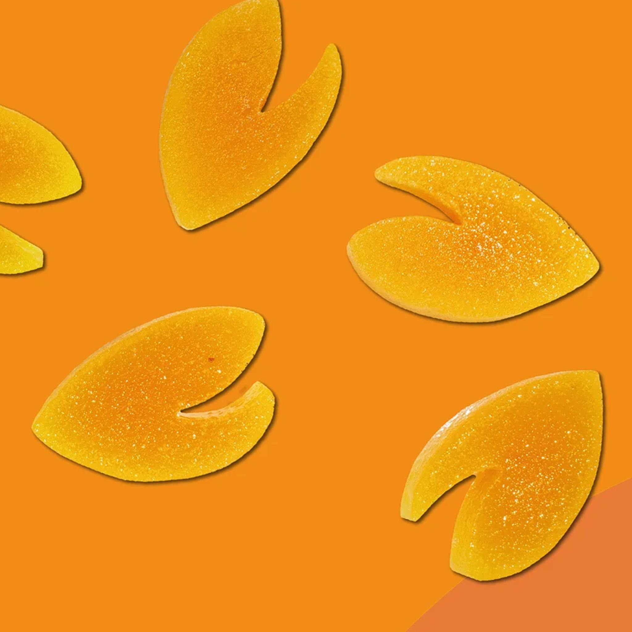 Vutter - vegane Leckerli "wie Leberwurst" mit Mandarine und Karotte bei Fairtails